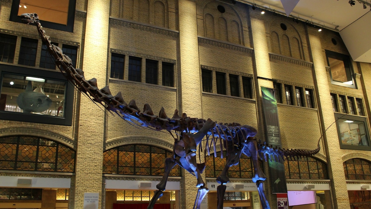 Giant Dinosaurs Nested Like Enormous Turkeys