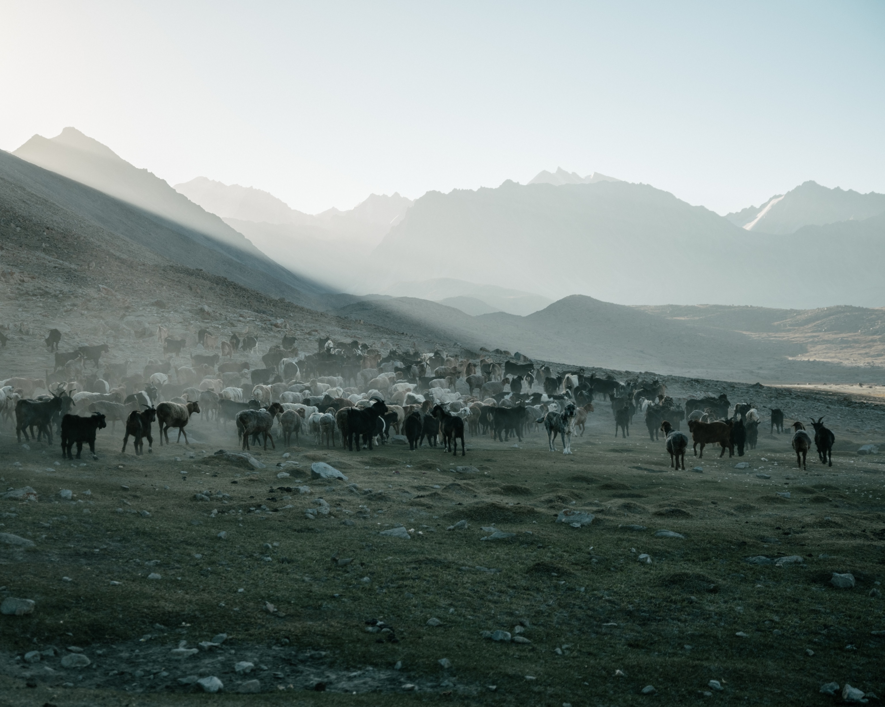herds dust Wakhan