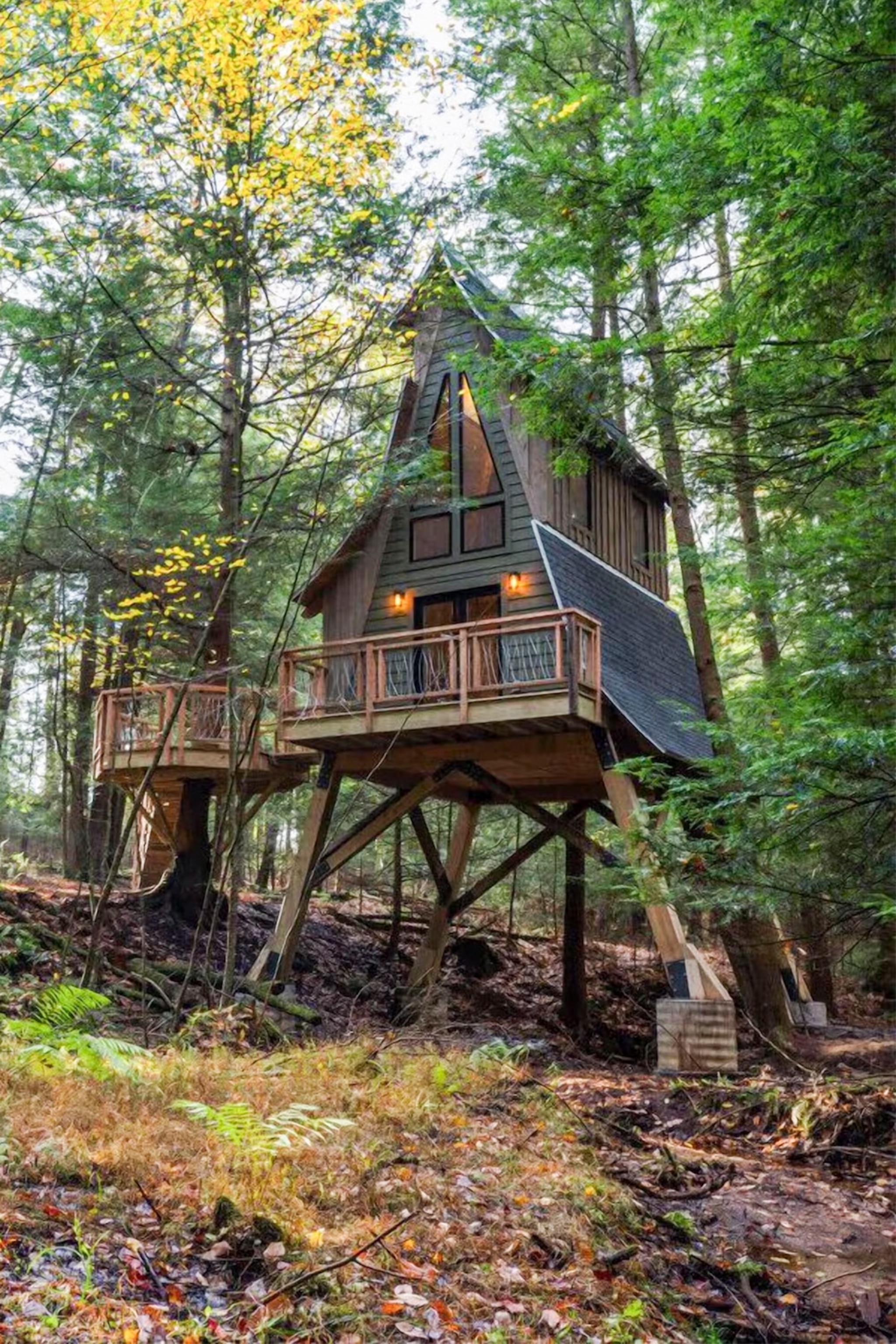 Wooden tree house cabin set amongst trees