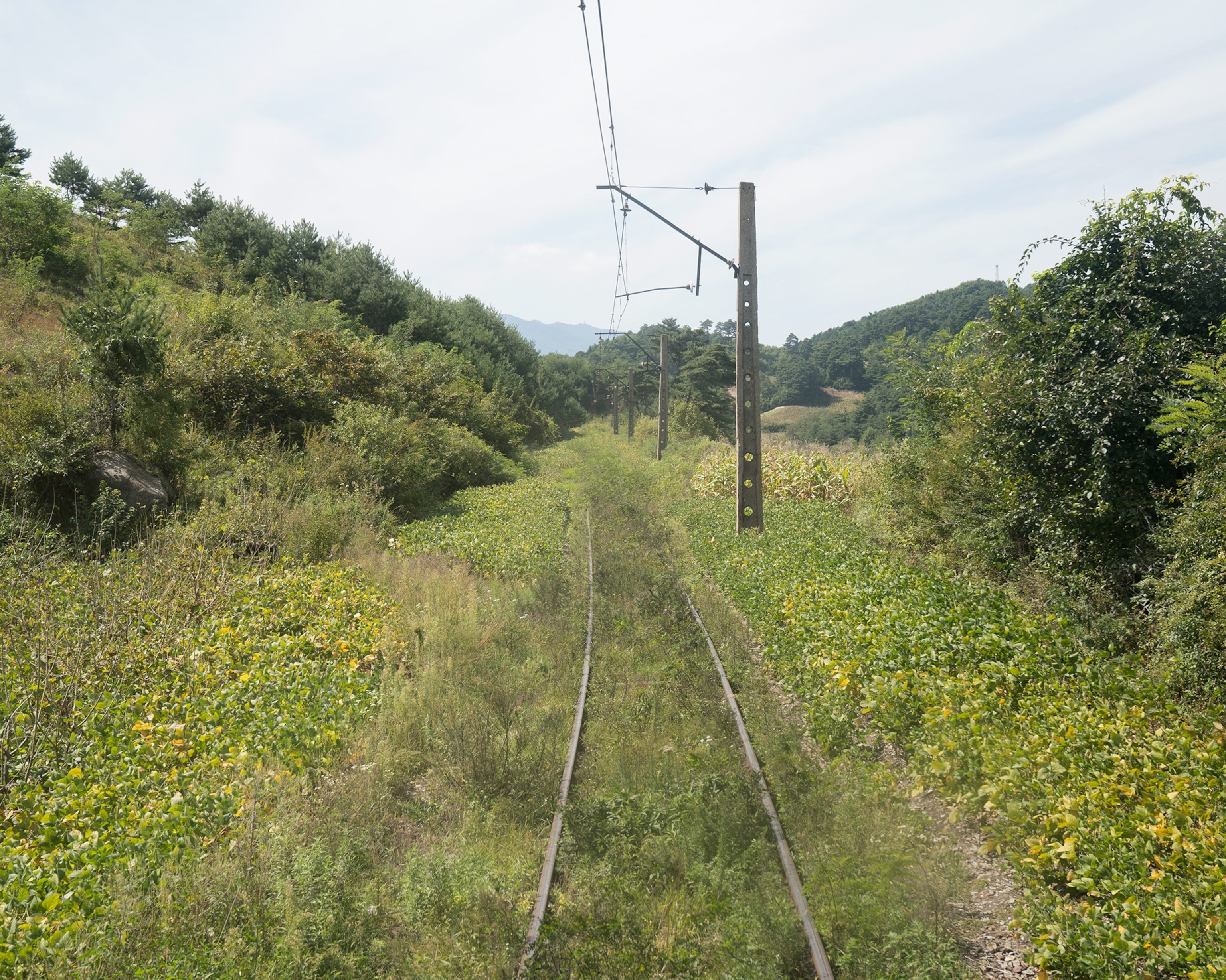 train tracks in North Korea