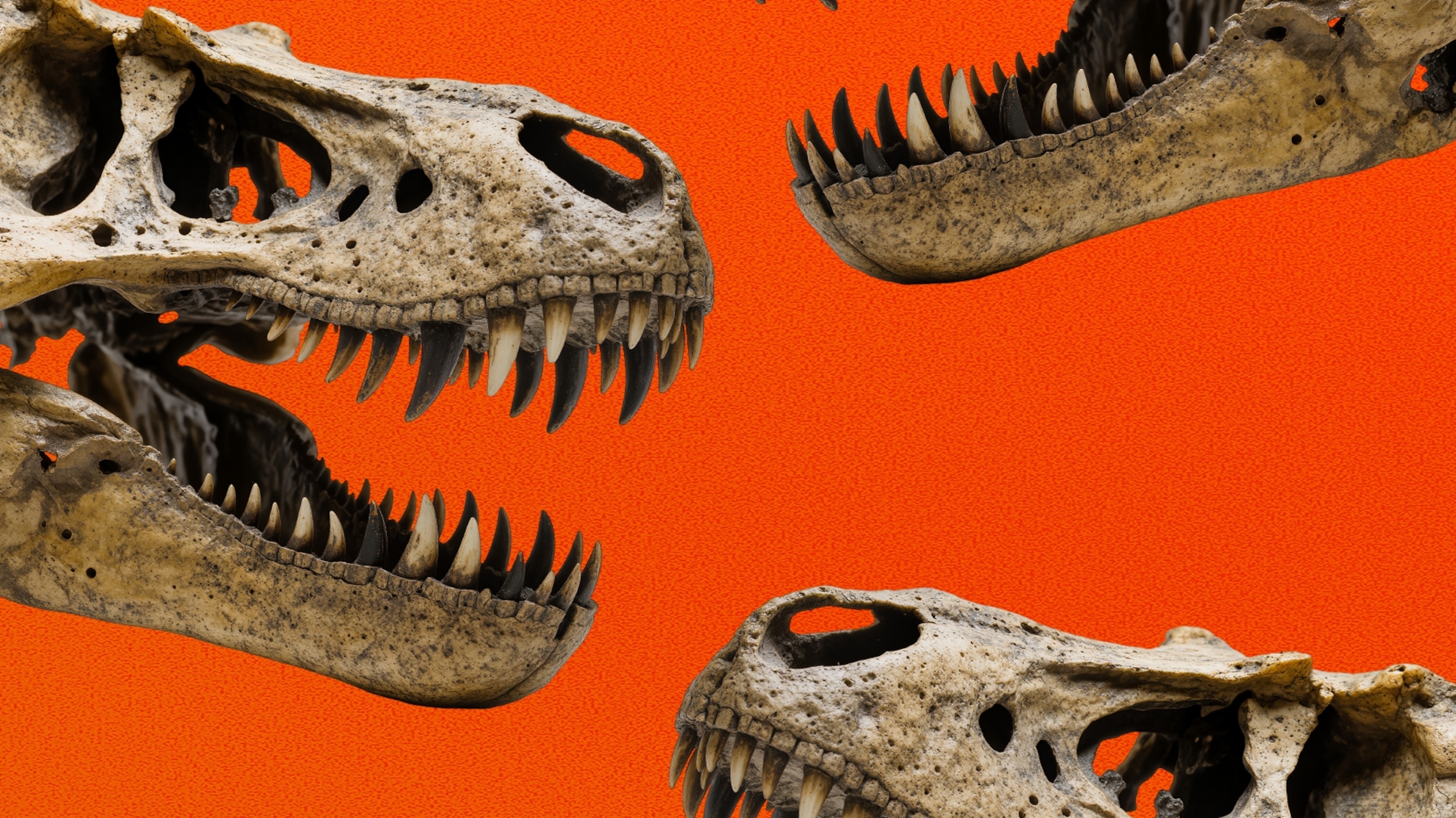Why Everything We Thought We Knew About T. Rex is Getting … Messier