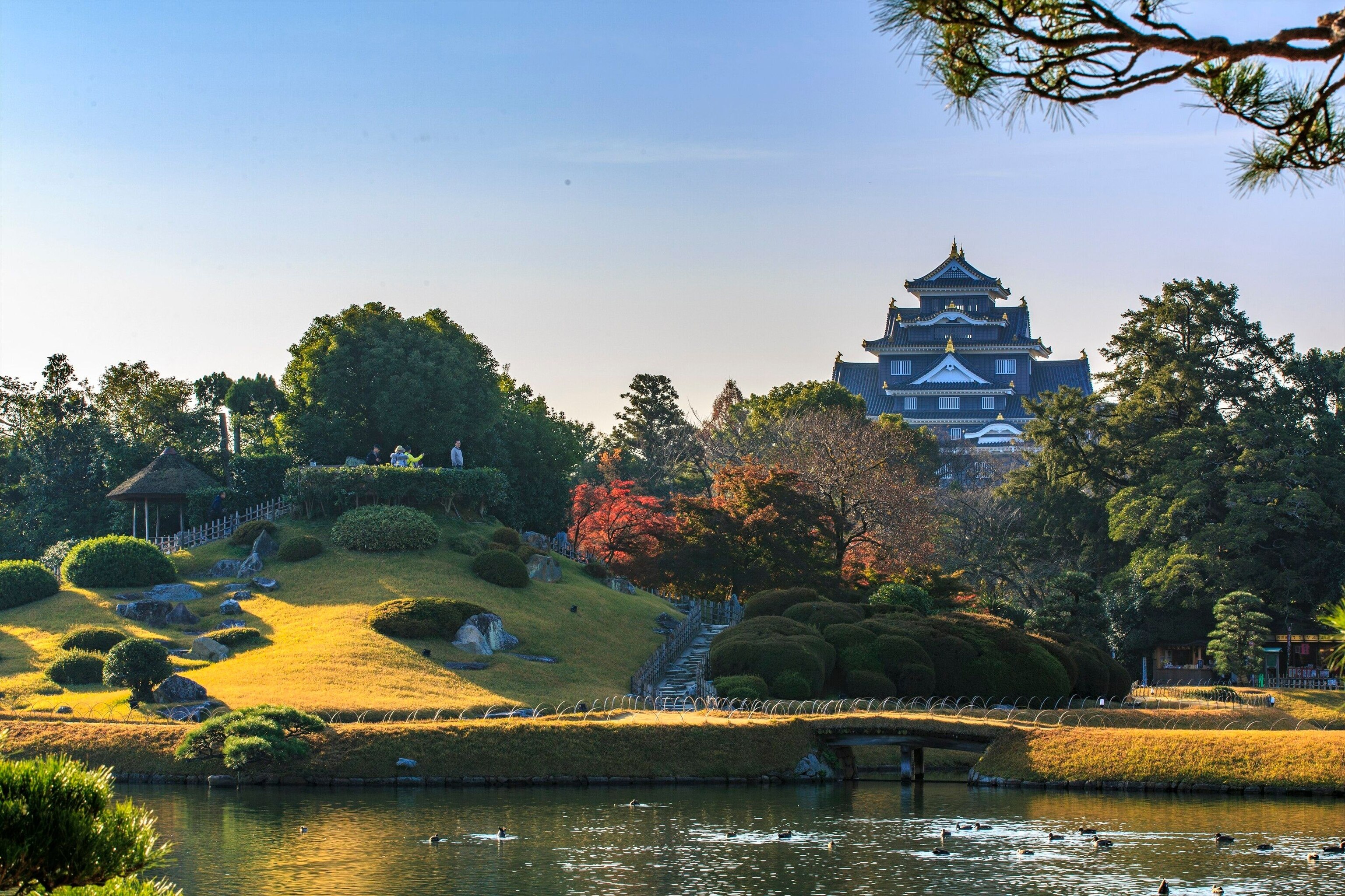 Okayama castle, surrounded by trees in autumnal splendour. Ducks float along the Asahi River below.