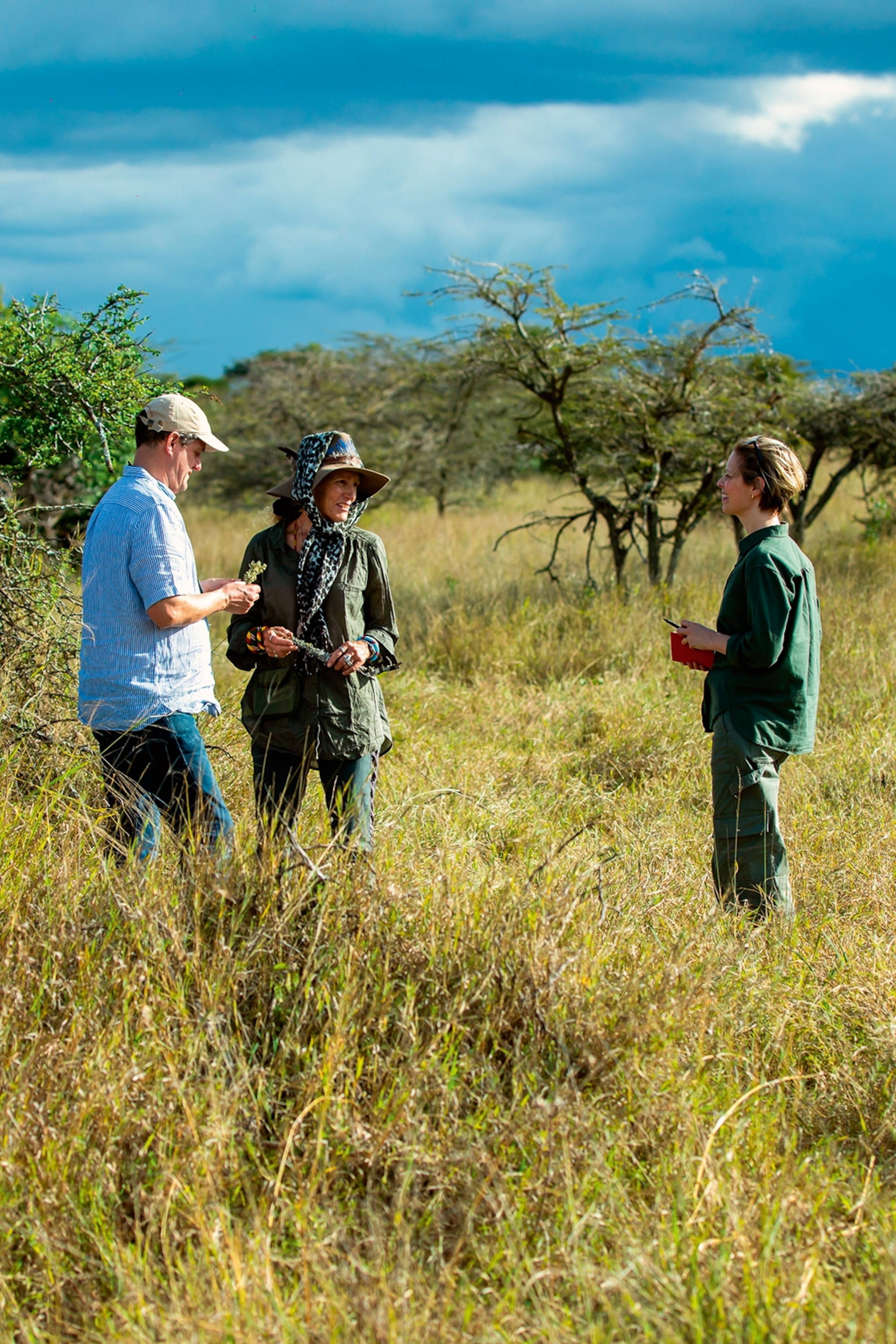 A group of three in the low bushes of Kenya, talking about foraging.