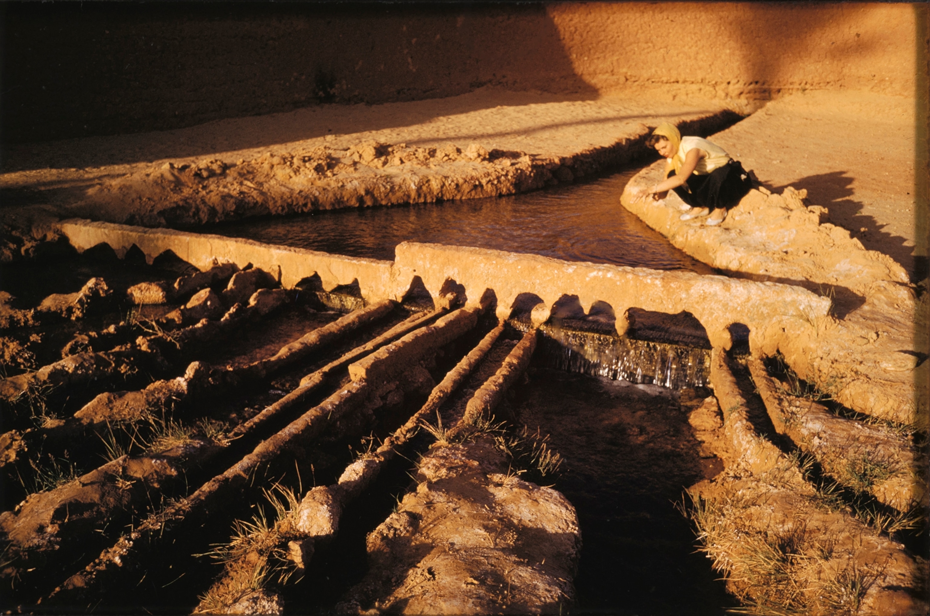 Sluice gate, suggesting a snaggle-toothed comb, divides and distributes water from the foggara