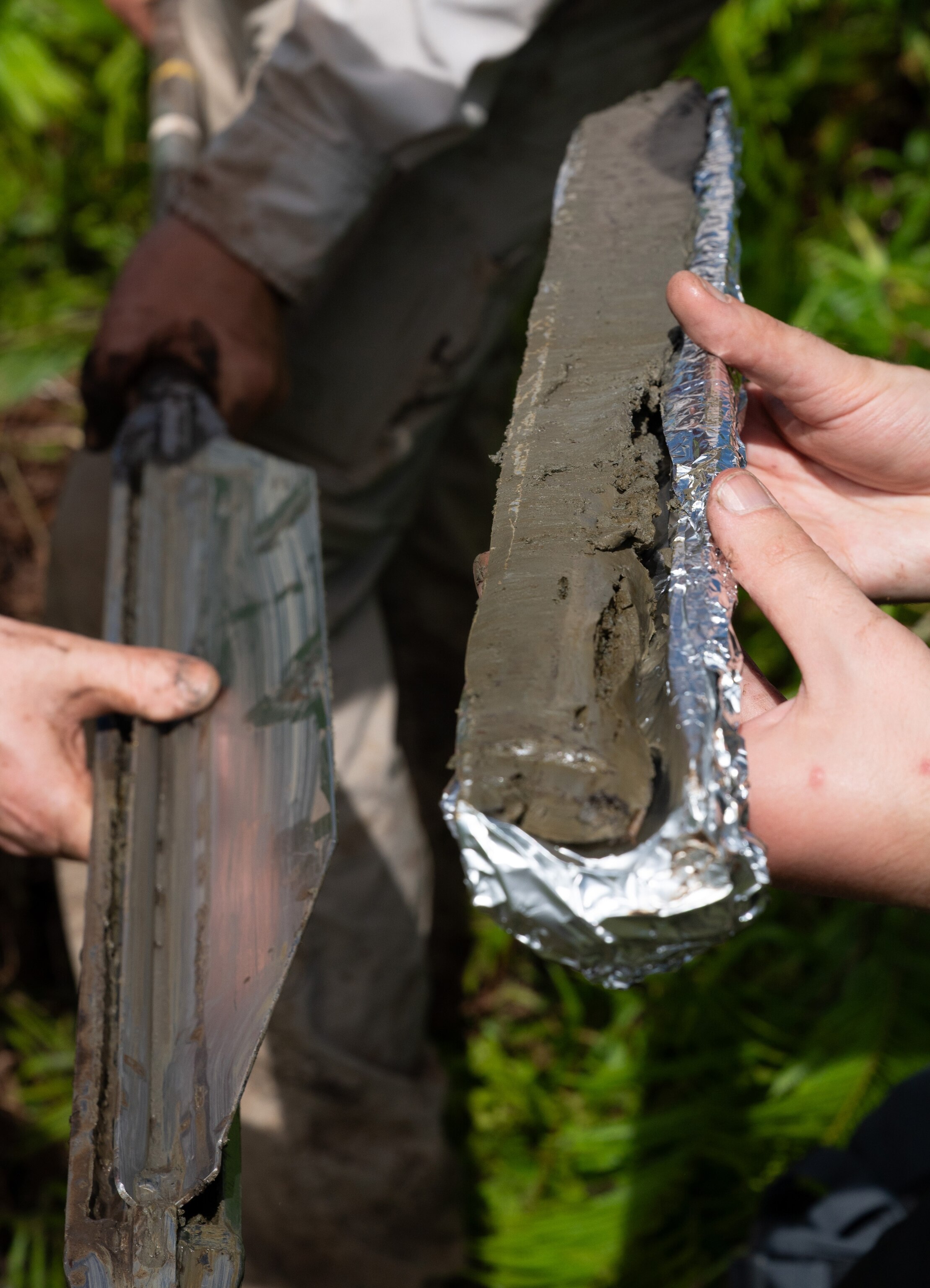 An up-close photo of a core sample.