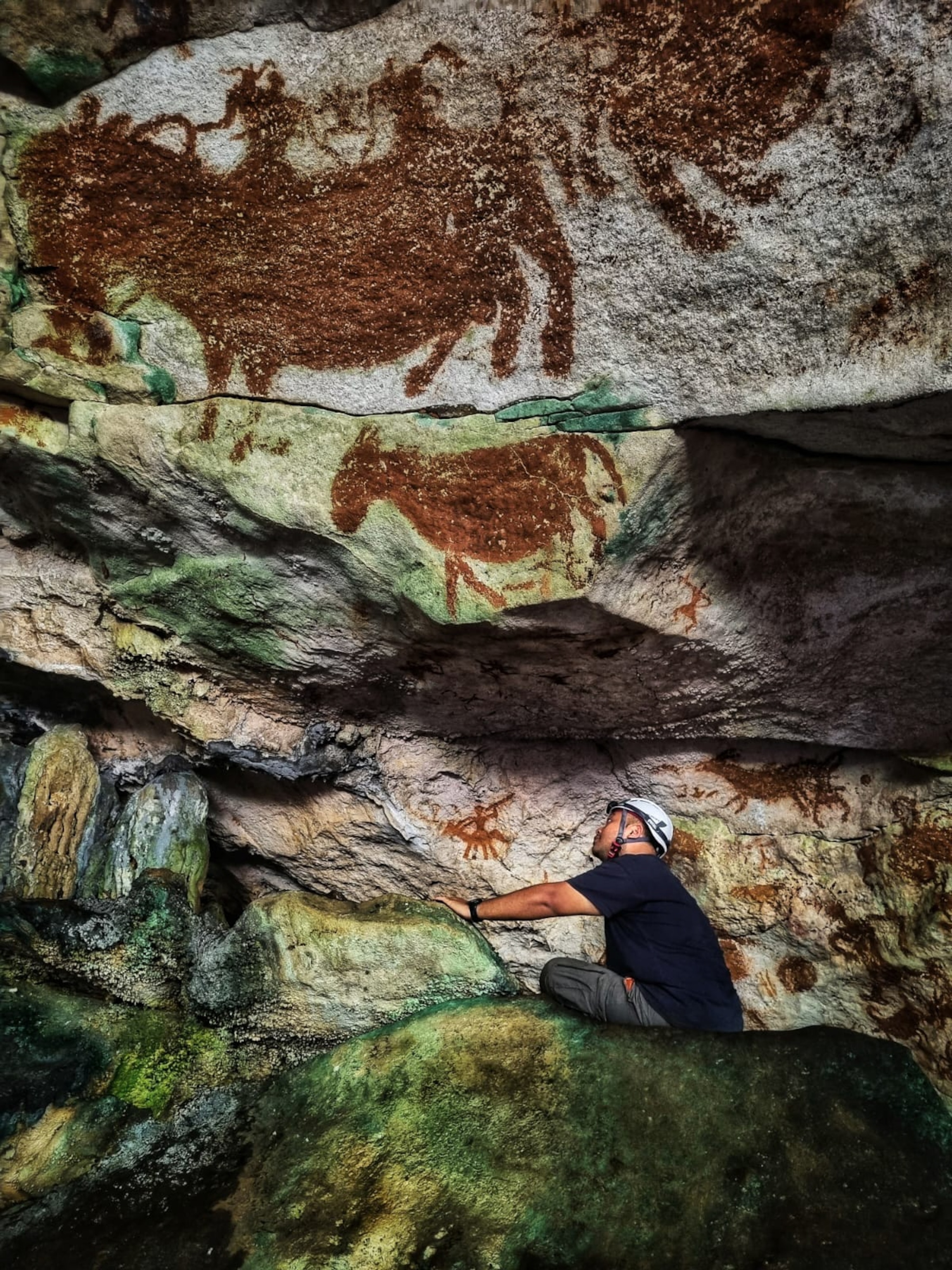 A person wearing a helmet examines ancient rock paintings of animals, including large figures on a cave ceiling.