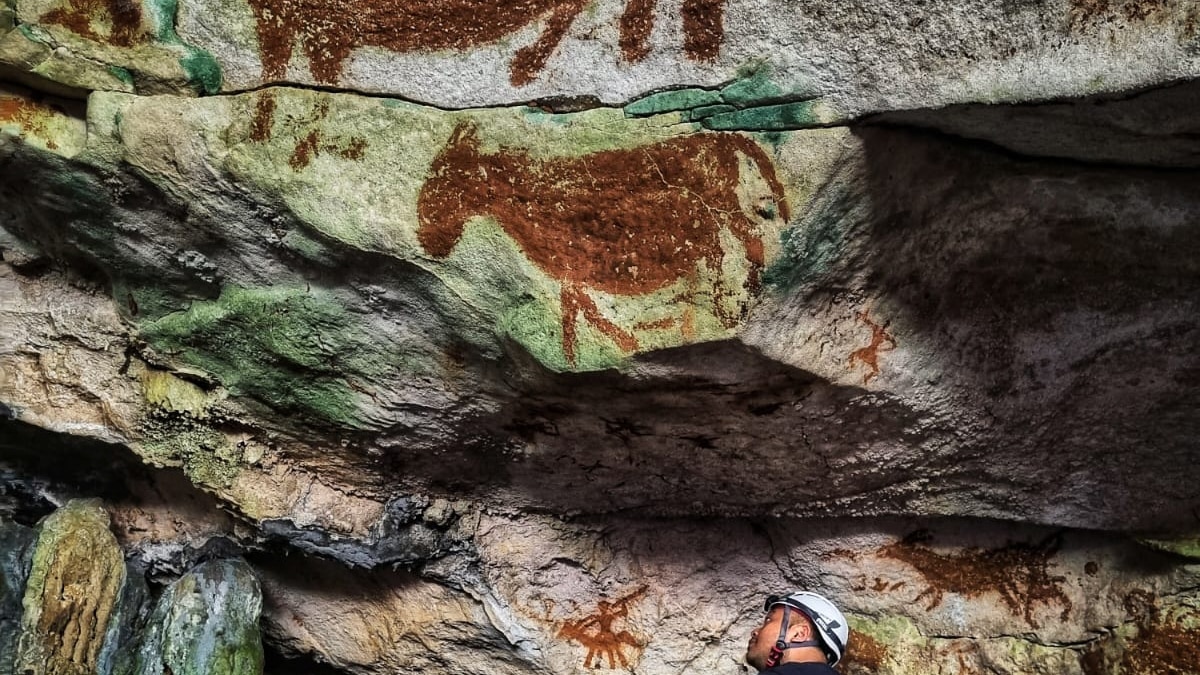 The world’s oldest rock art discovered in Indonesia
