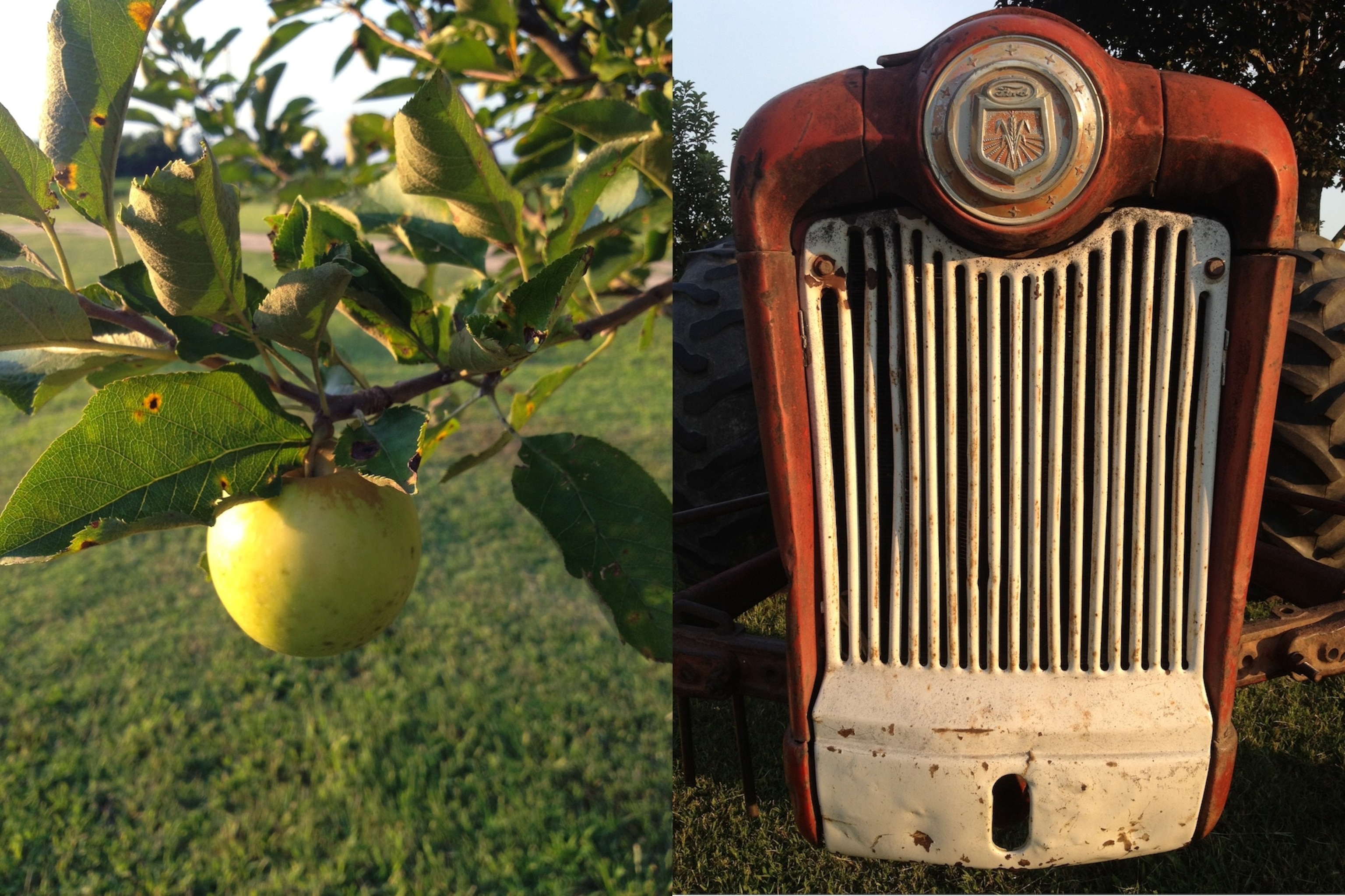 Photograph courtesy Jasmine Wiggins