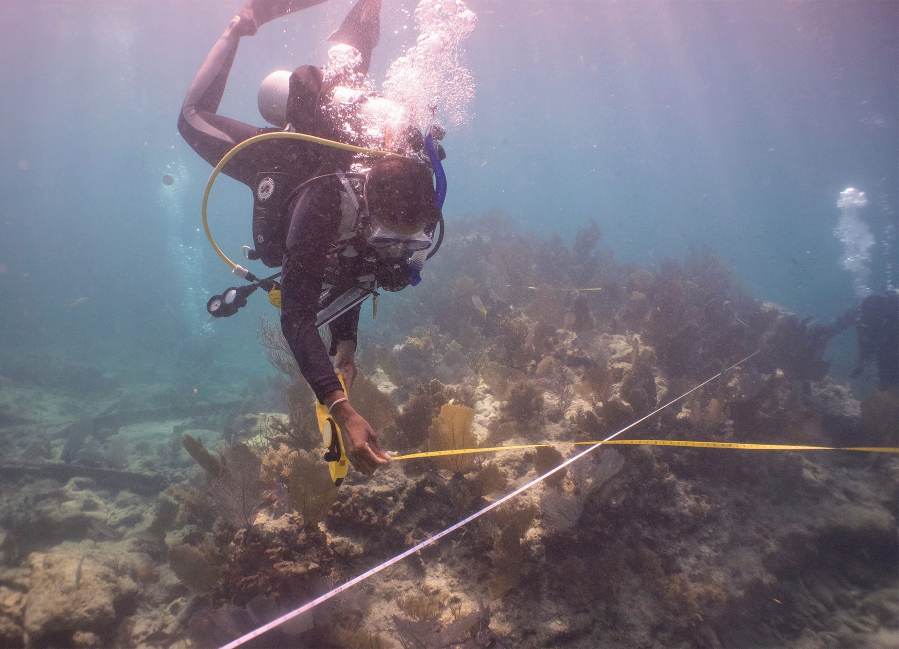 Scuba Diving Into The Unfolding History Of Wrecked Slave Ships