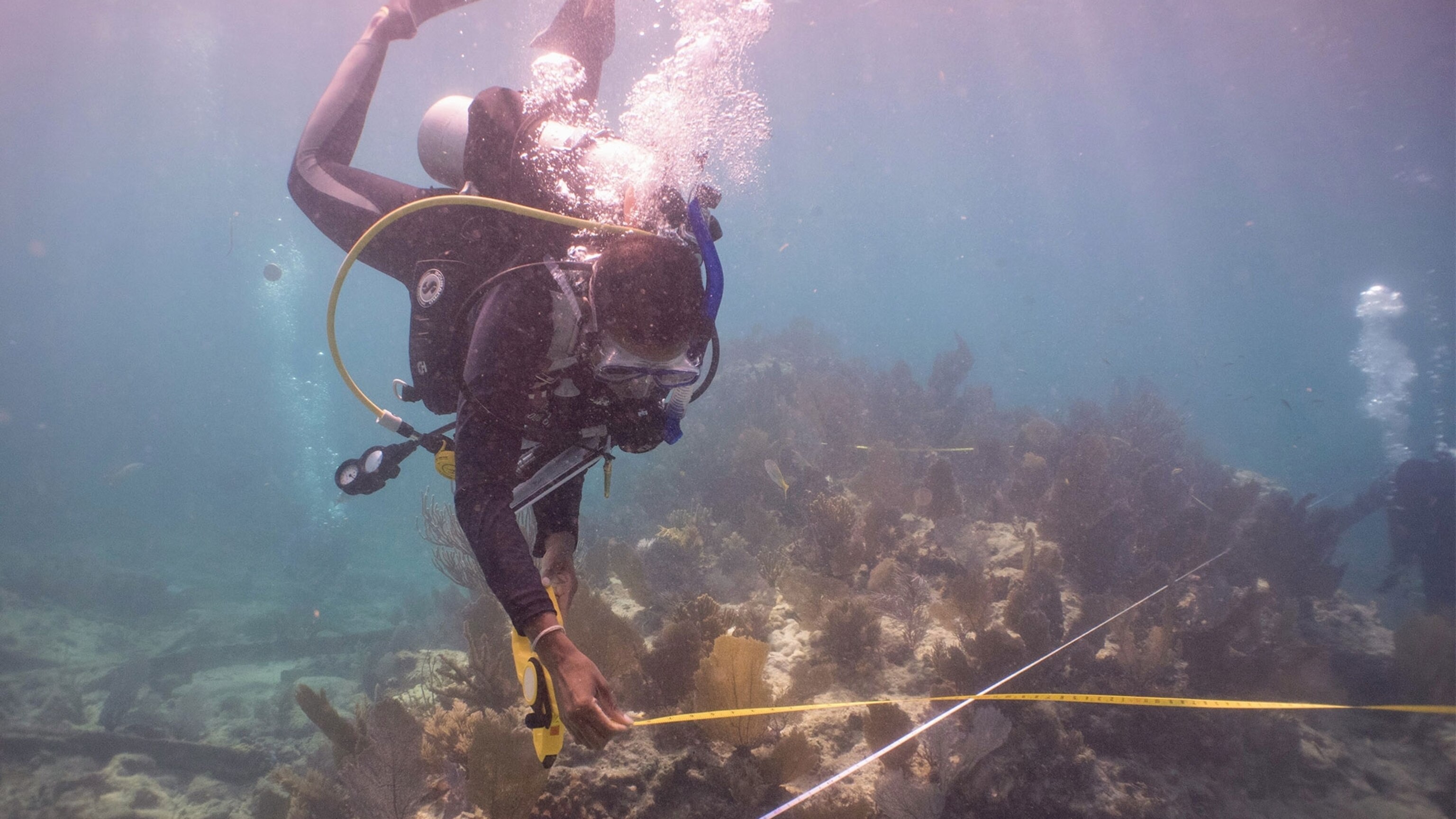 Scuba diving into the unfolding history of wrecked slave ships