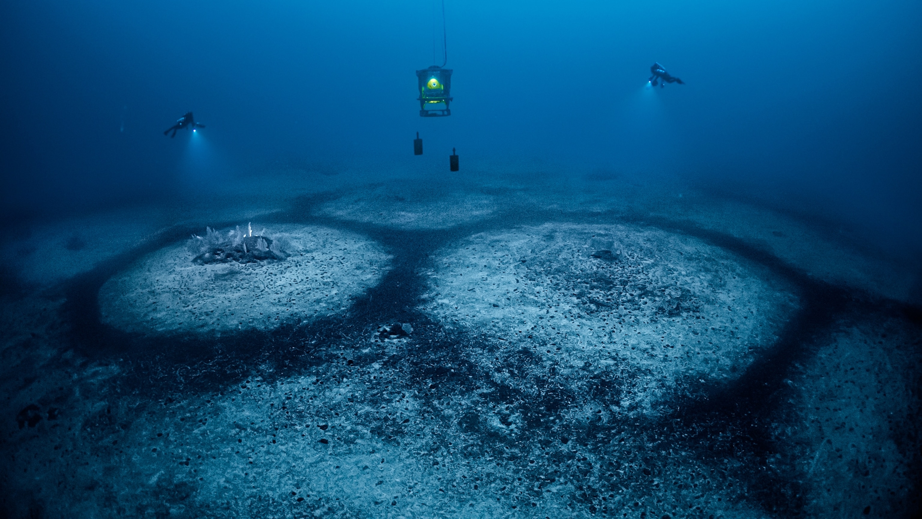 What drew these 1,300 perfect circles on the sea floor? We What drew these 1,300 perfect circles on the sea floor? We
