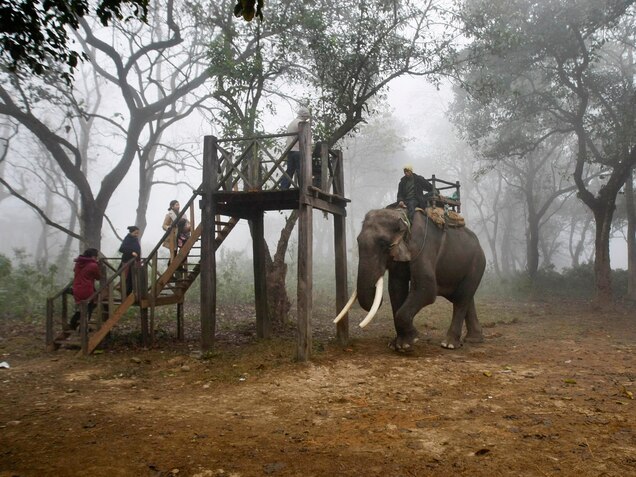 Tourists prepare to ride an elephant during a wildlife safari in Chitwan National Park. PHOTOGRAPH BY GEMUNU AMARASINGHE, AP