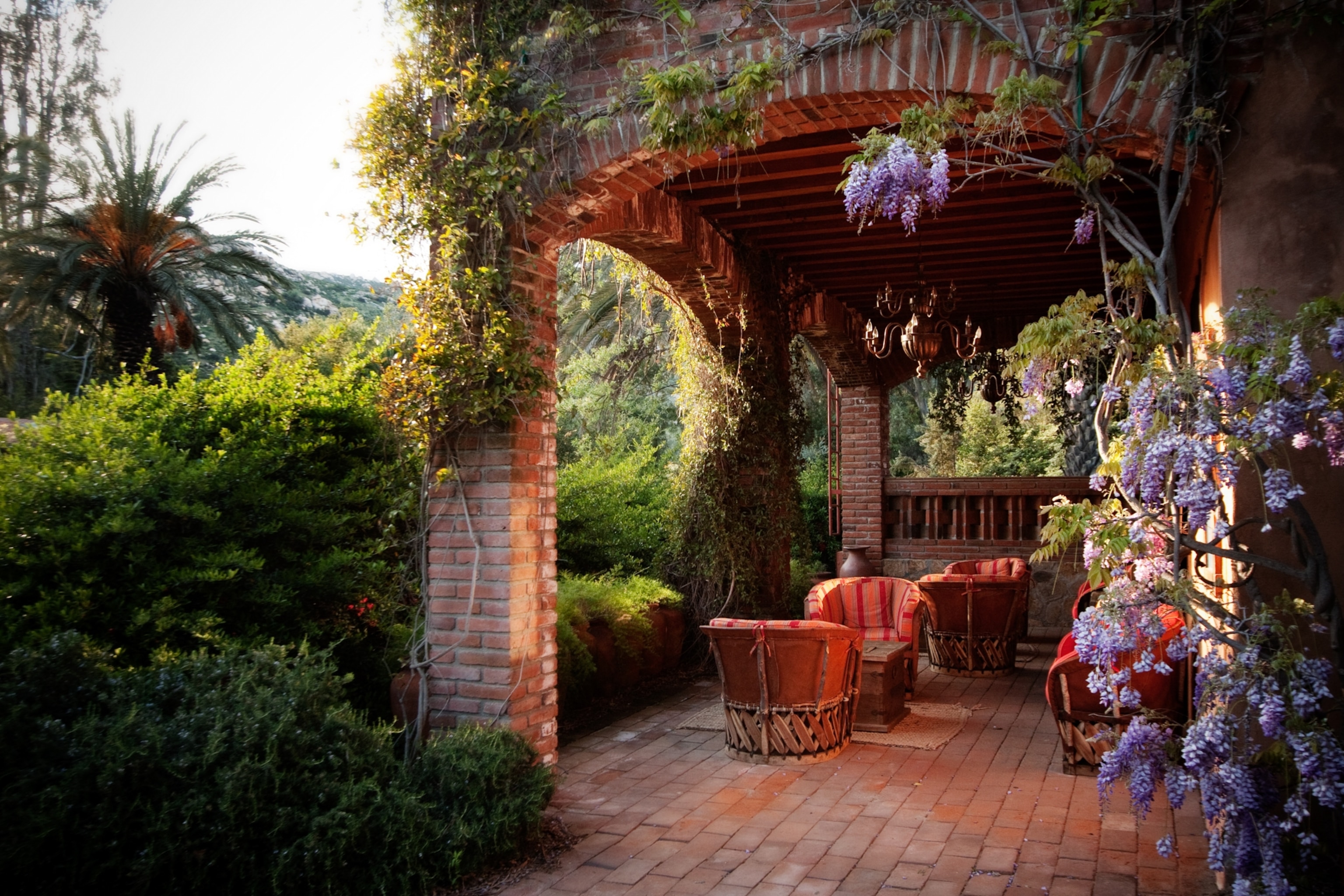 A brick porch surrounded by green foliage and purple flowers.