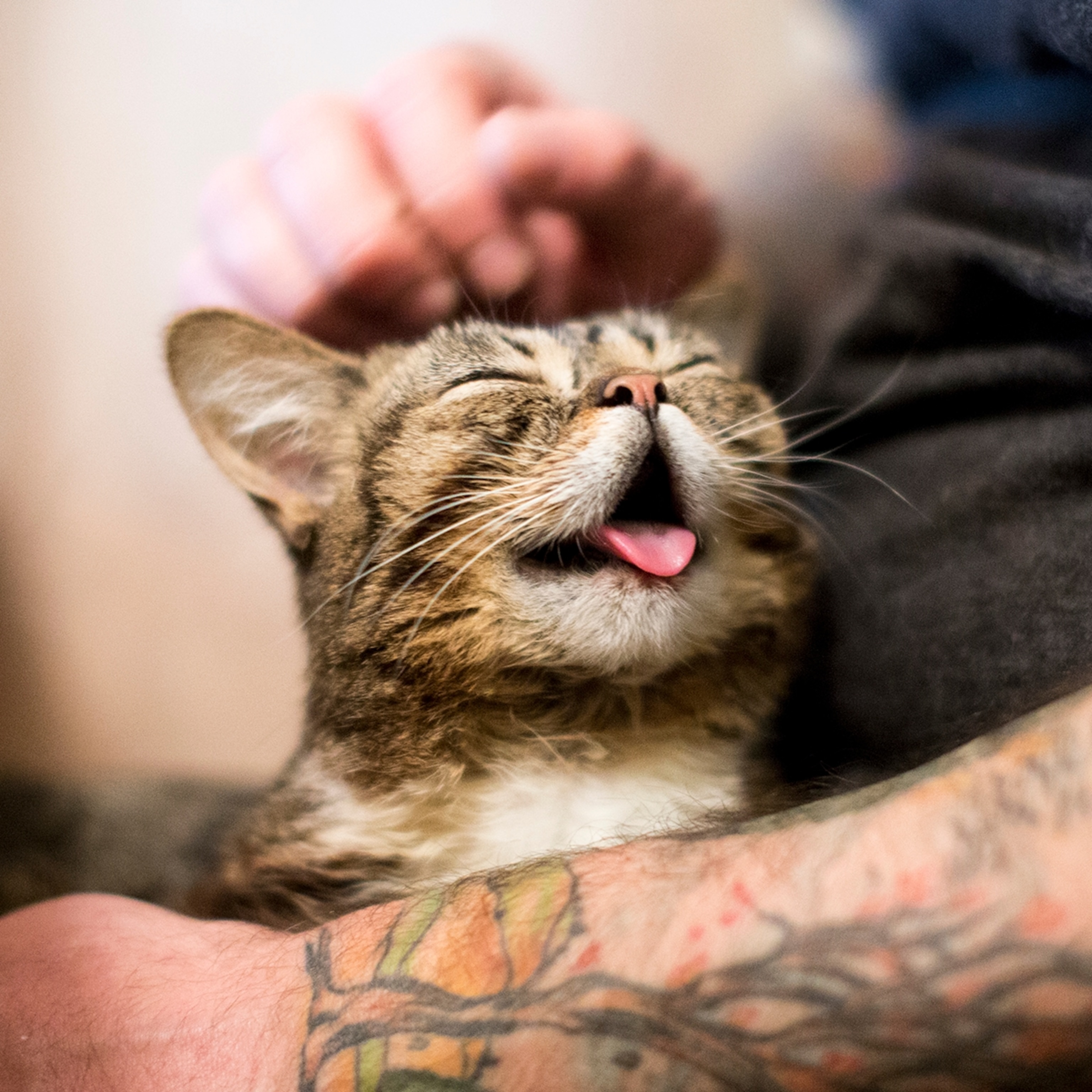 "This photo is special because it truly captures BUB's love of life, and her unconditional positivity. It glows with science and magic."