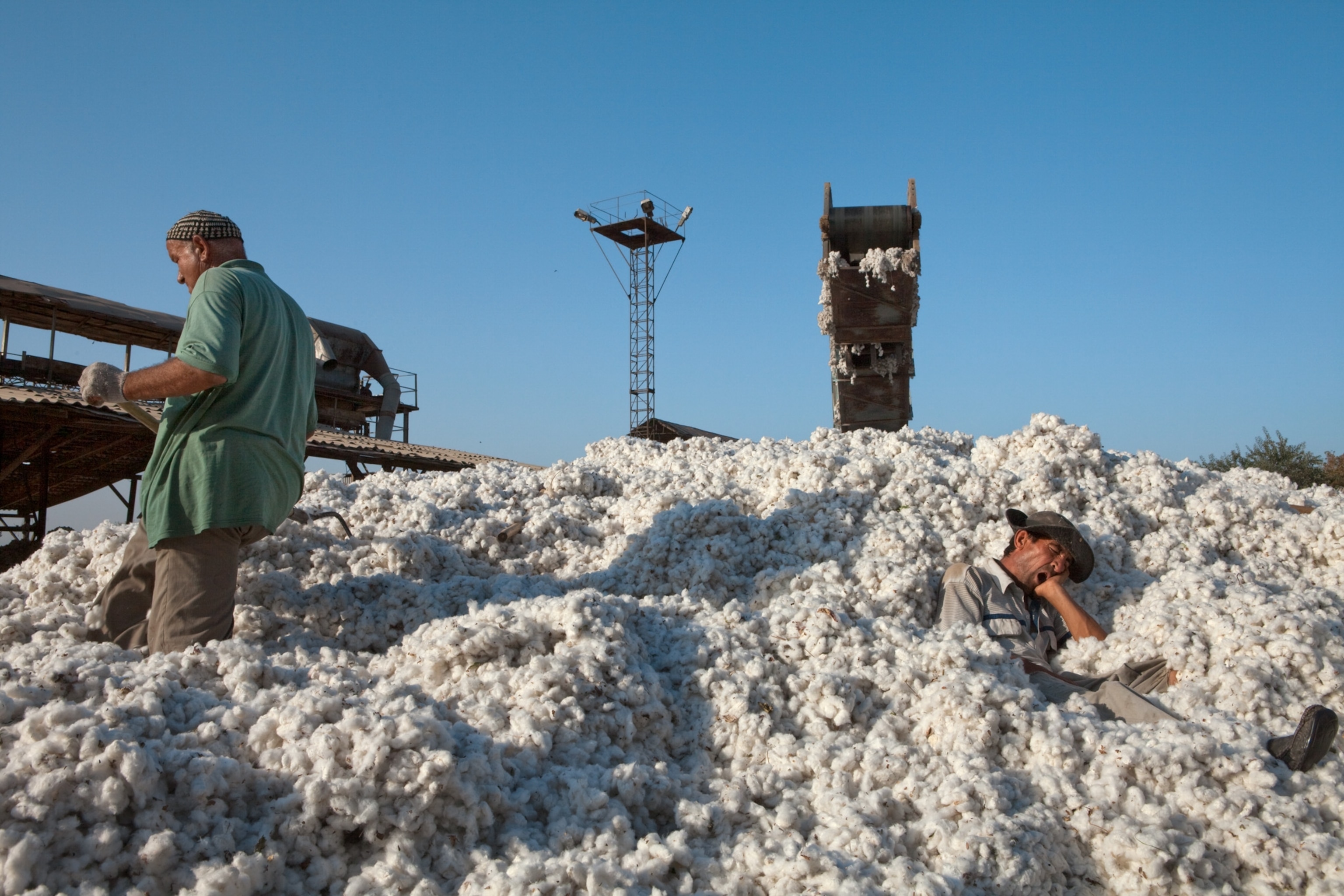 workers in a pile of cotton at a plant in Qurghonteppa, Tajikistan