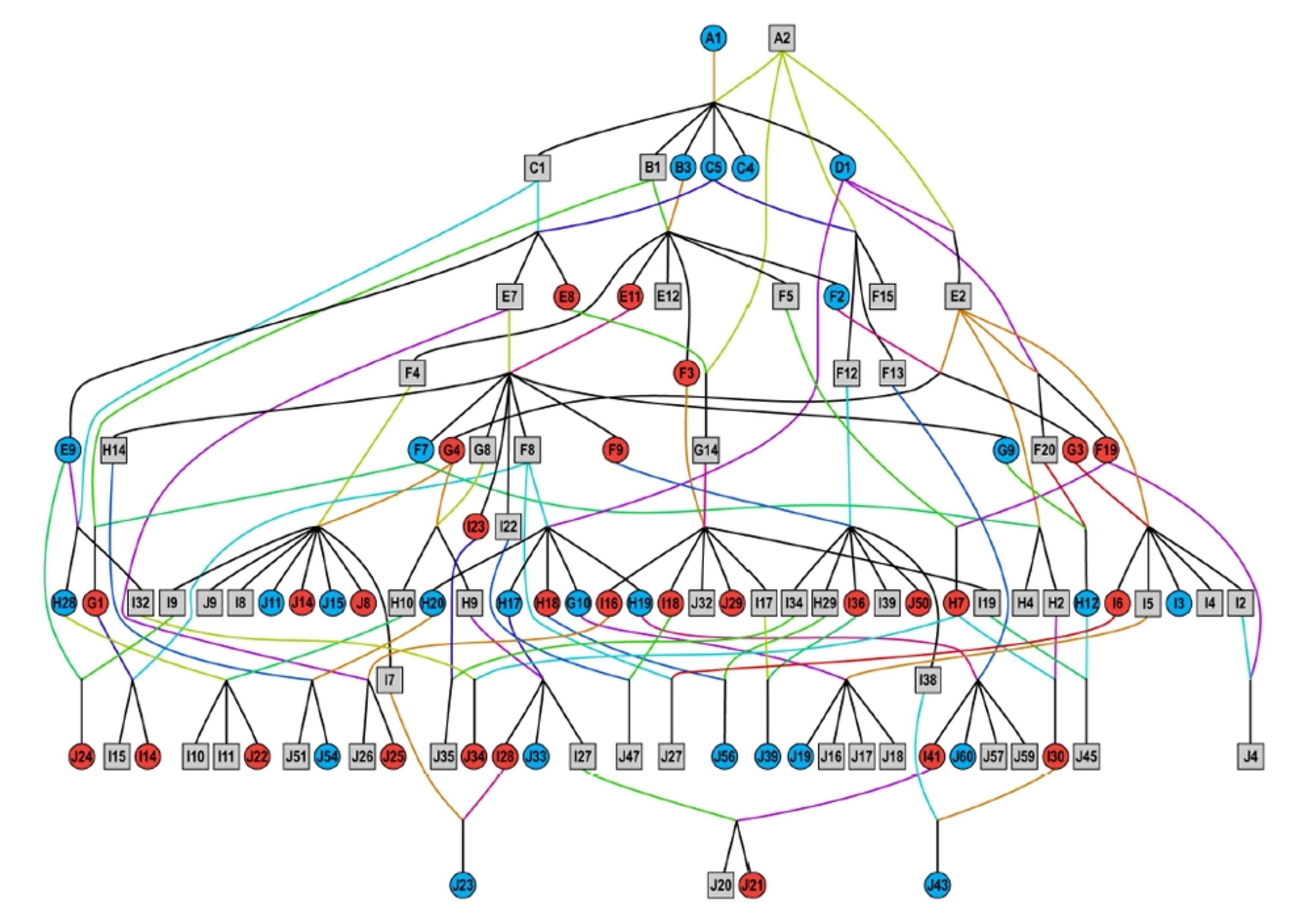 Black robin pedigree, 1980-1989. Credit: Massaro et al, 2013. PLOS.