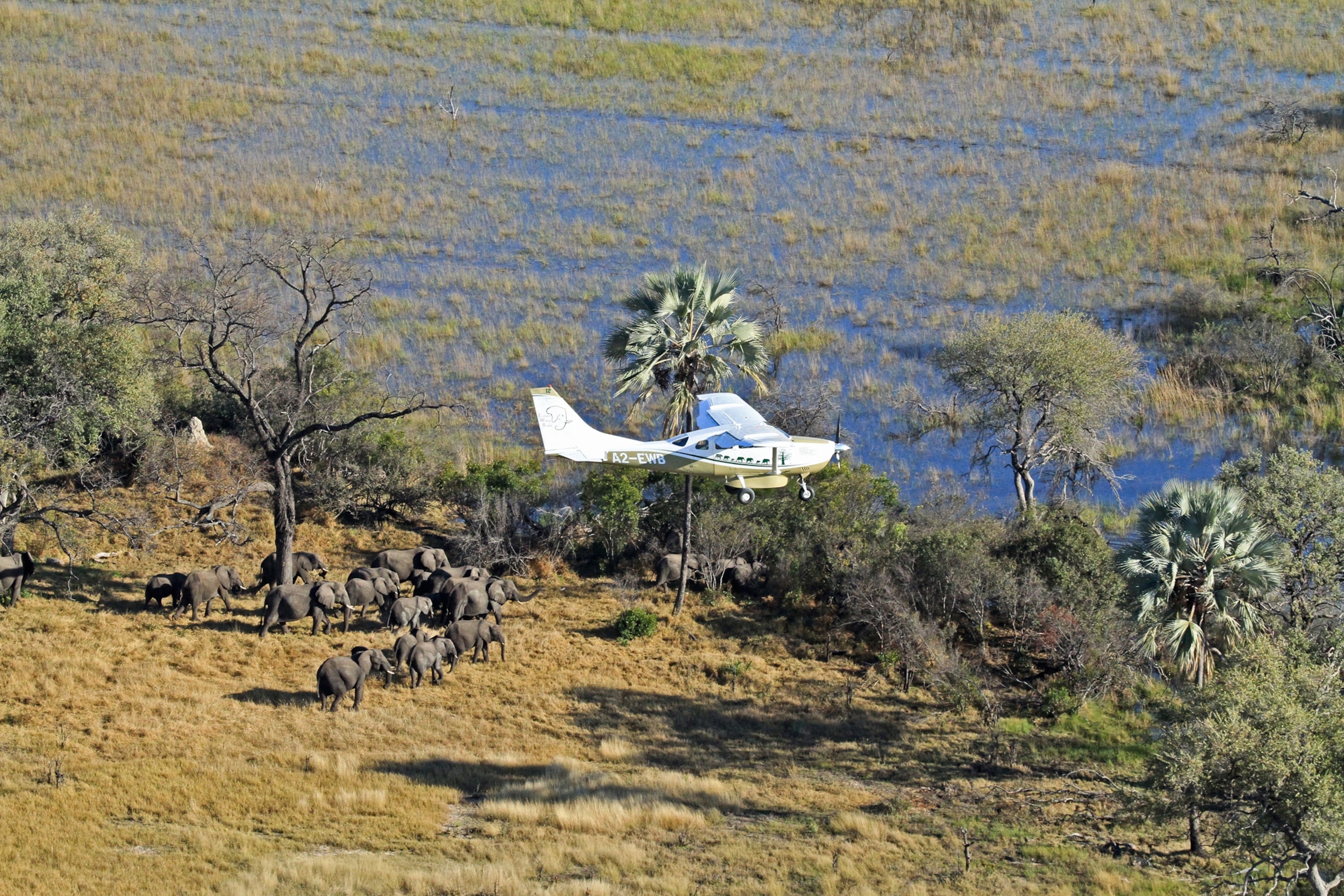 Counting Elephants From the Air in Africa’s Newest World Heritage Site