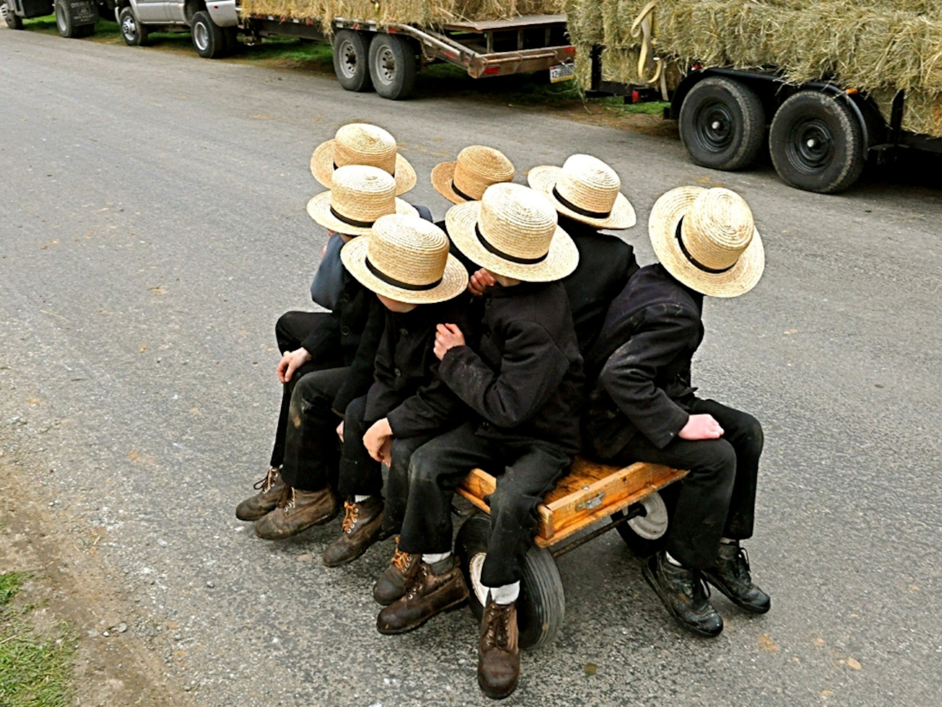 Amish boys riding in a wagon