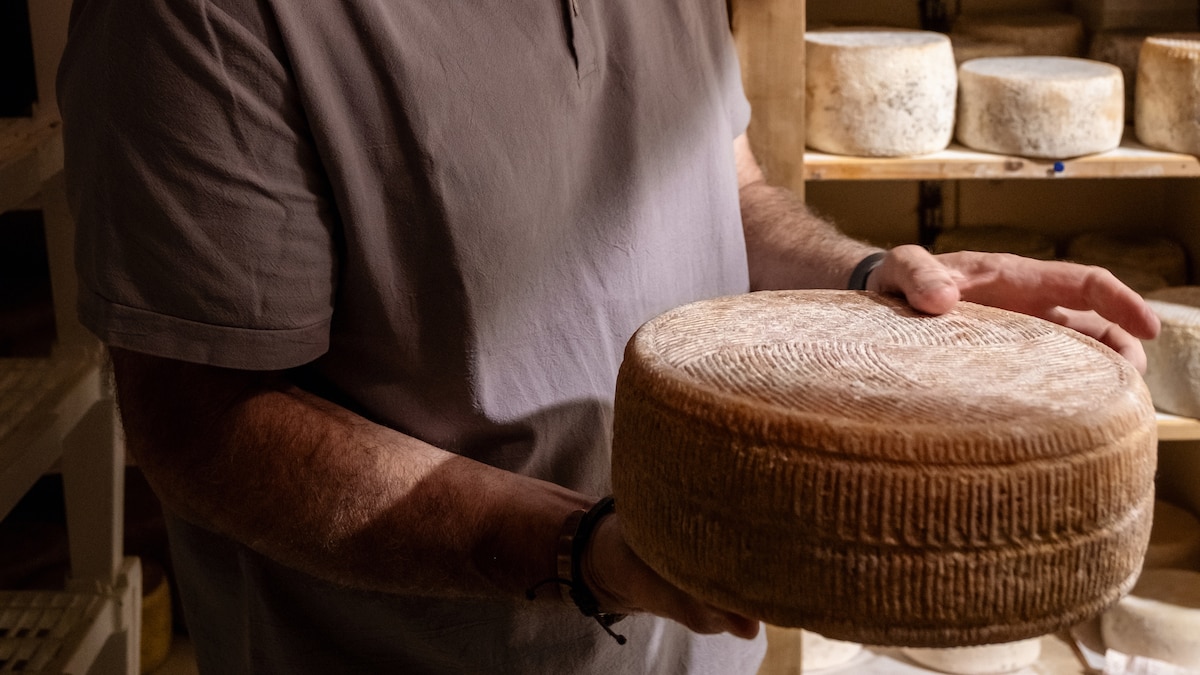 How One Cheesemaker Revived Tuscany's Forgotten 'Goat Island'