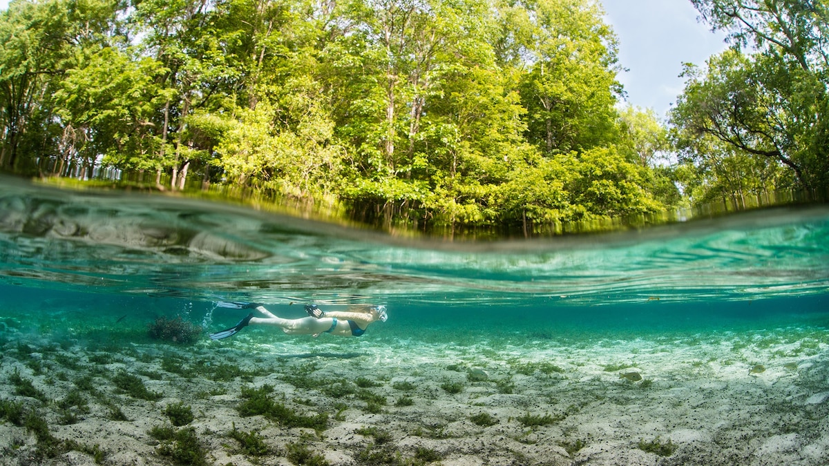 These state parks will show you another side of Florida