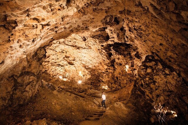 The oldest known Venus figurine, carved some 35,000 years ago, was found in the cave of Hohle Fels in southern Germany, pictured here.