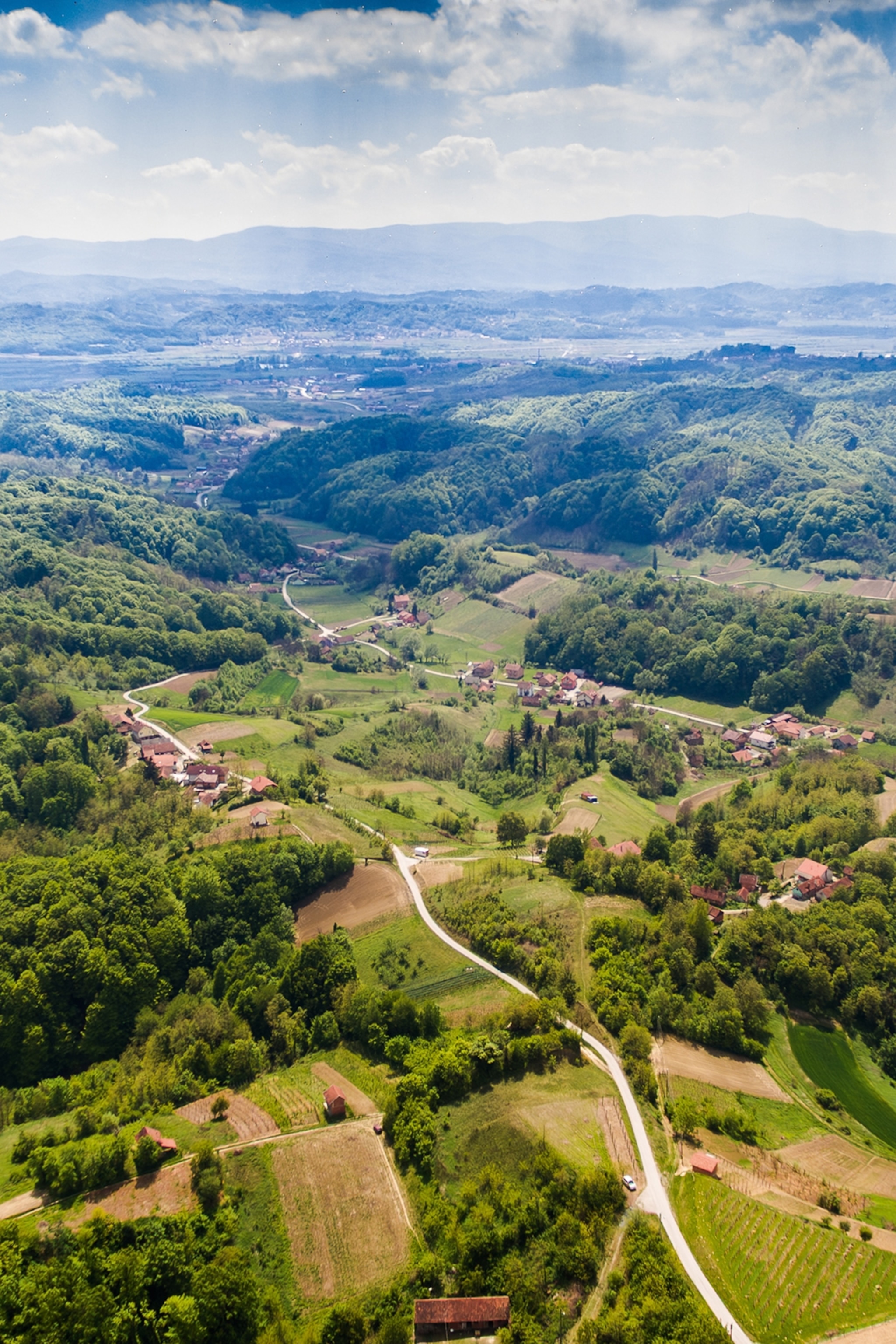 A landscape shot of a mostly flat countryside with vineyards and houses in between patches of forest.