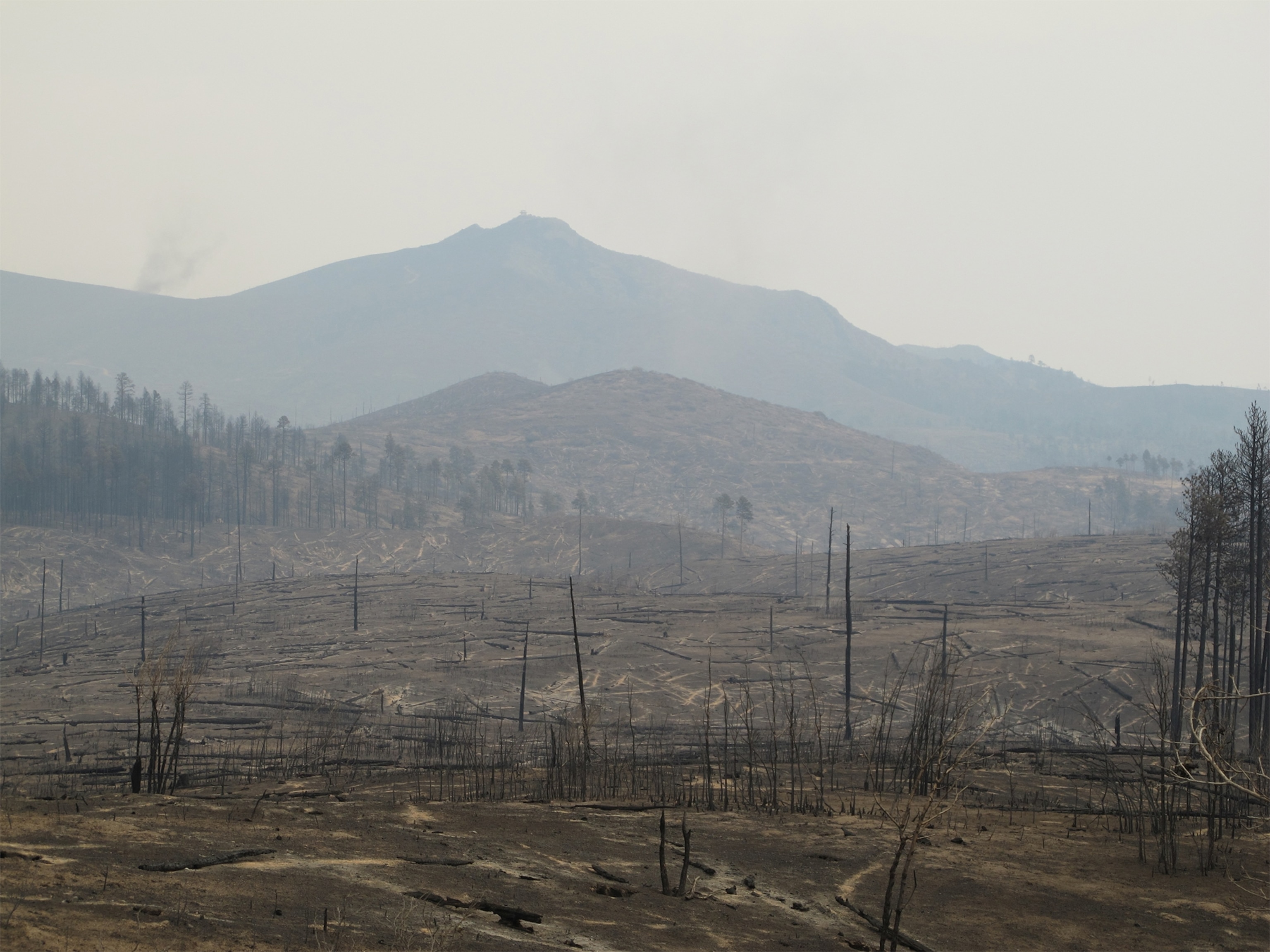 A fire-scarred landscape of blackened ground and dead trees extends across rolling hills beneath a hazy mountain backdrop.