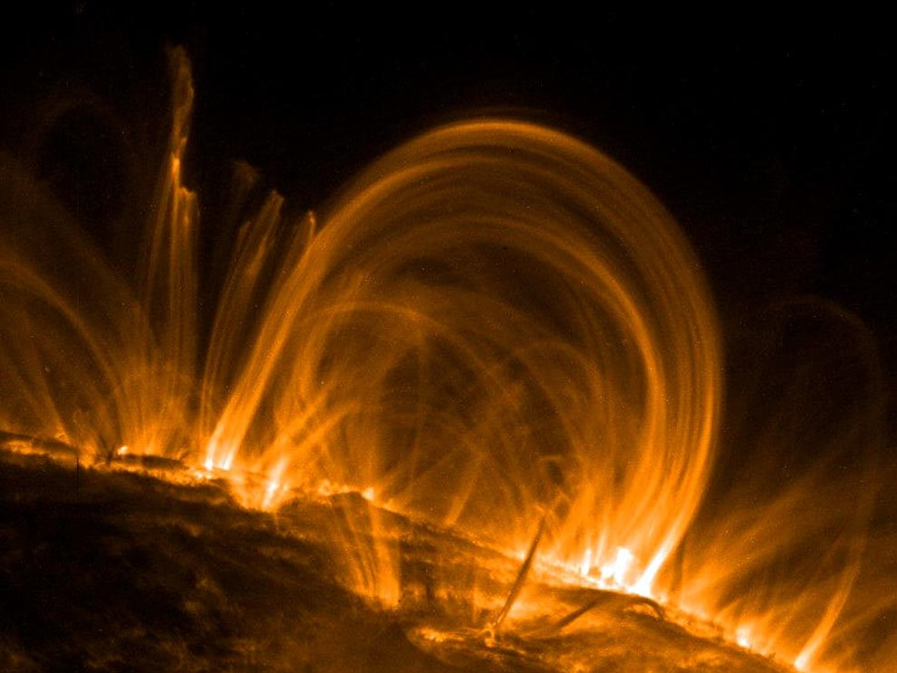 coronal loops on the sun