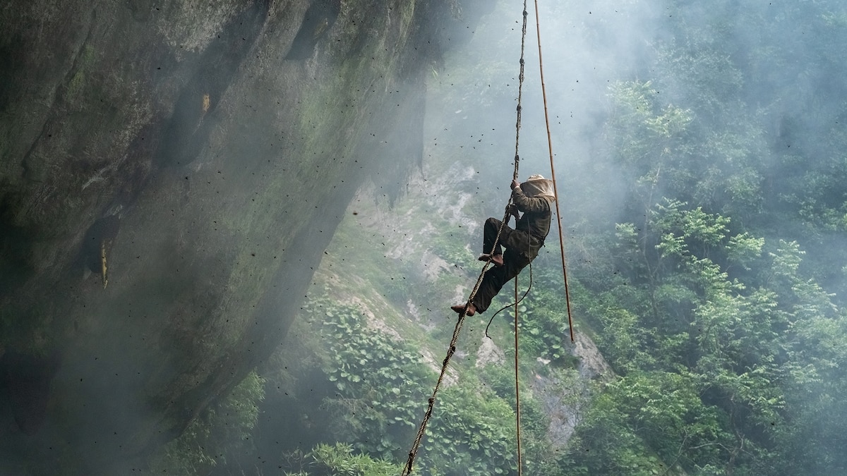 How I got the shot: Dikpal Thapa on risking it all for one image - Vimarsana News
