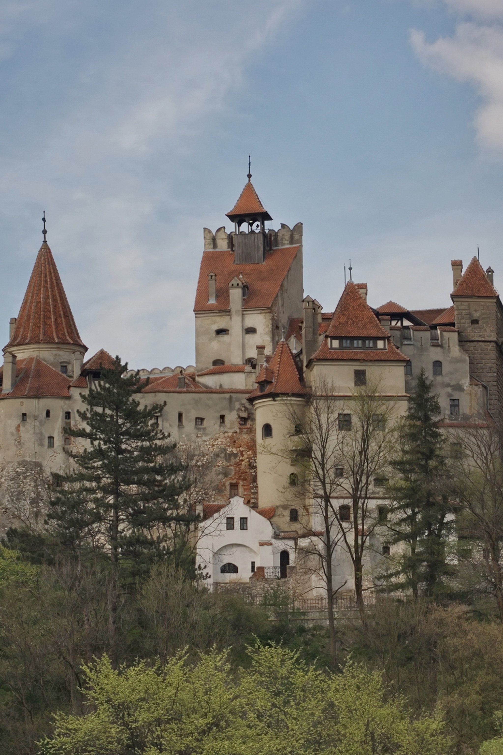 A stone castle on the top of a hill surrounding by a thick pine tree forest.