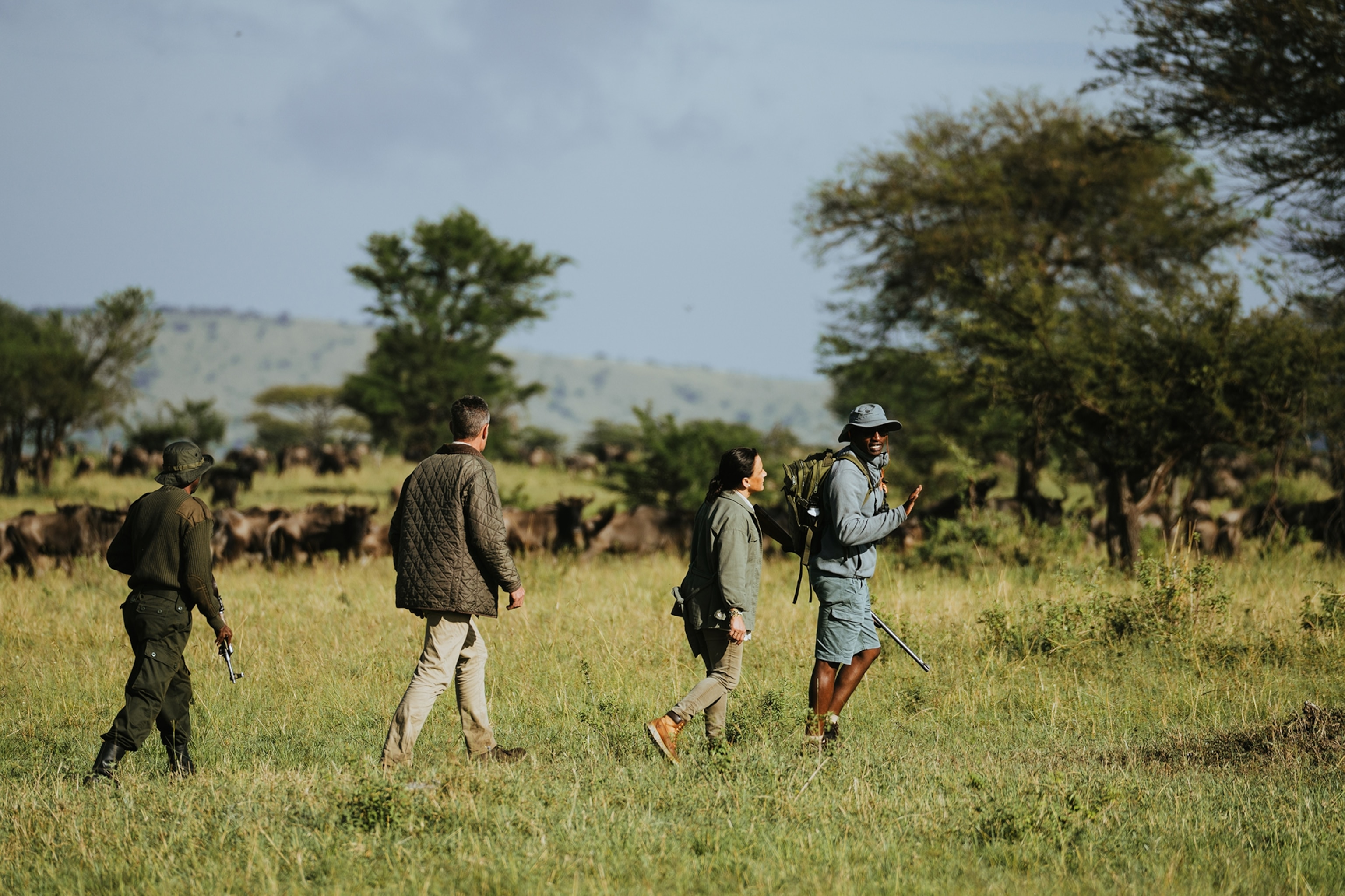 Travellers walk through the bush in Tanzania accompanied by guides.
