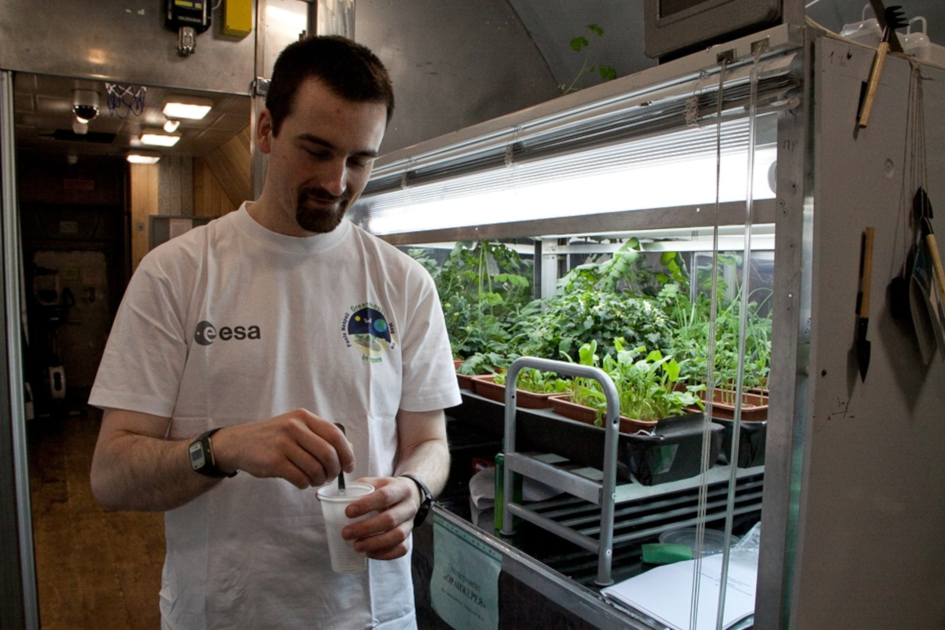 Mars 500 picture: Crew member standing near growing plants
