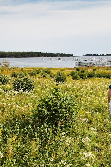 10 Best Things To Do In Maine 5-best-things-to-do-in-maine-youtube