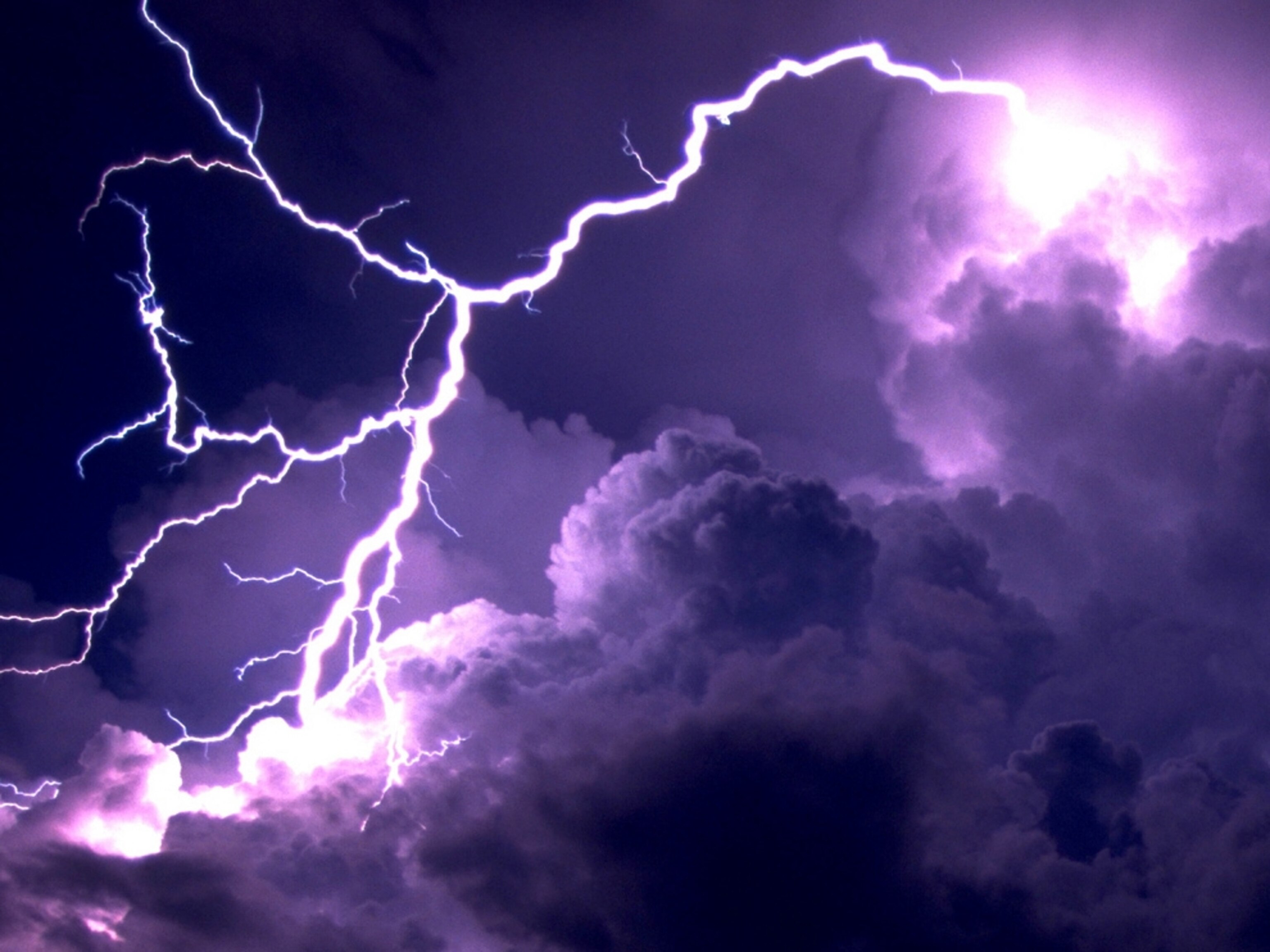 Biomimicry Pictures: Nature Yields New Ideas for Renewable Energy and ...
