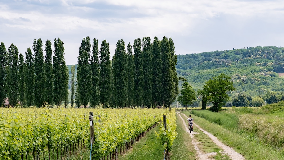 Cycle through the Italian countryside on this borderless trail