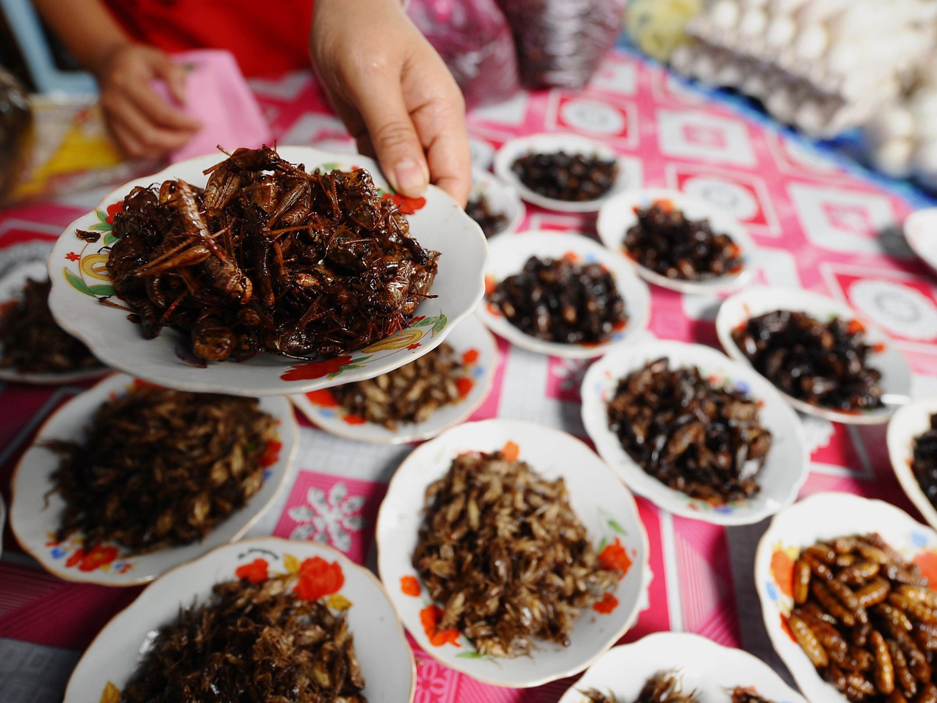 Chefs Make a Tasty Case for Eating Bugs