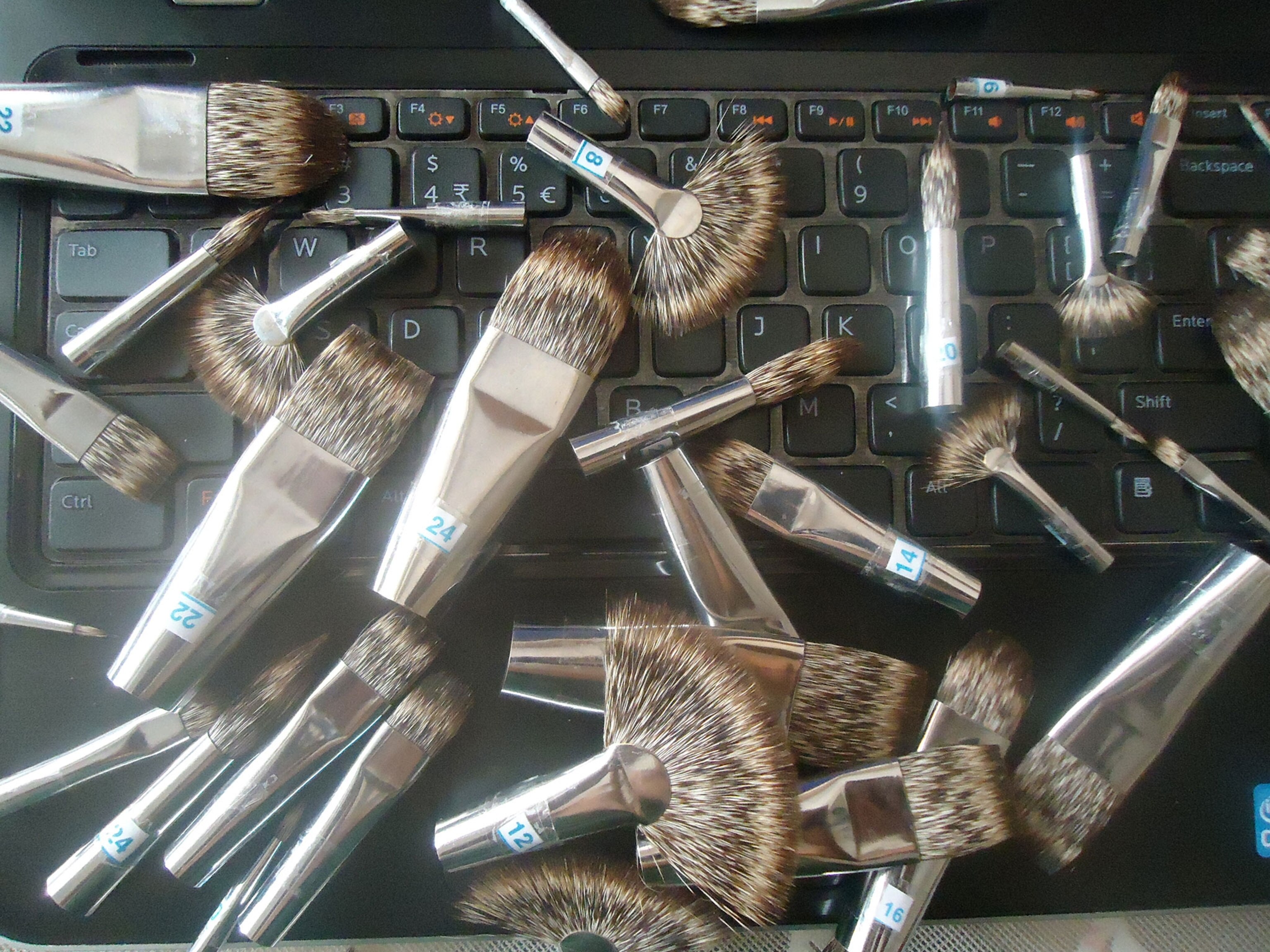 The Cruel Business of Mongoose Hair Paintbrushes
