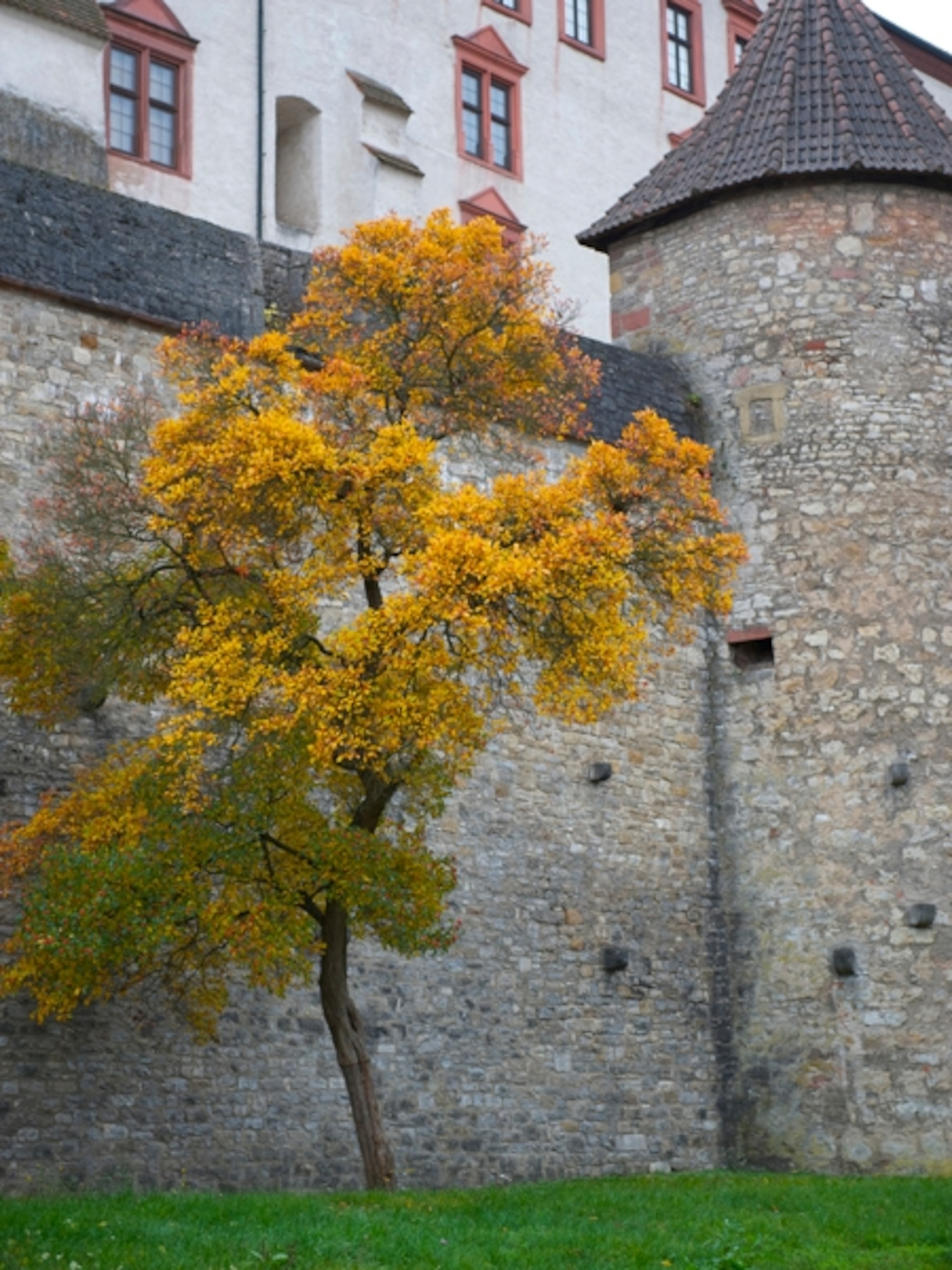germany's marienberg fortress wall