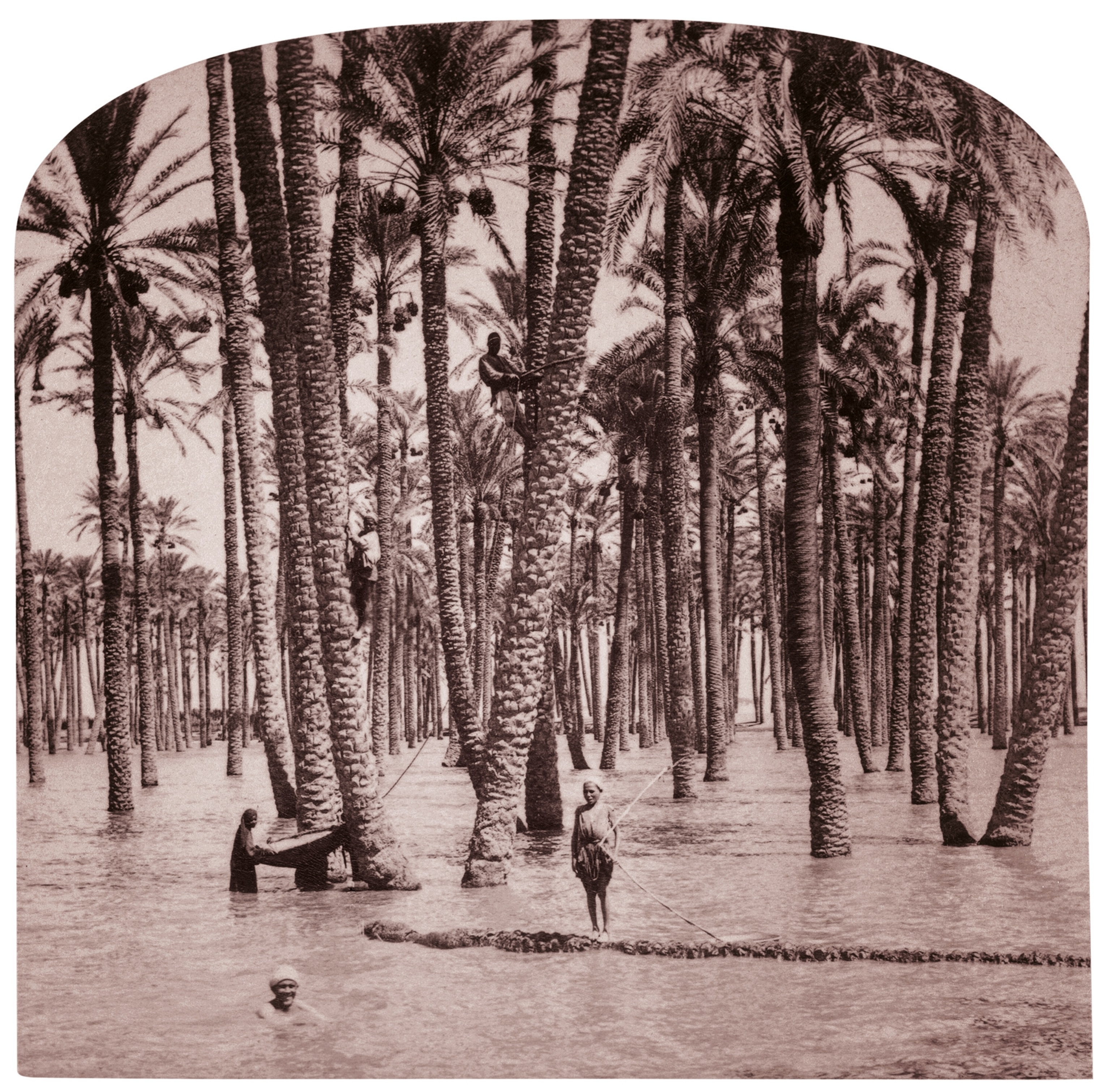 A historic flood of the Nile that hit Cairo in 1898.