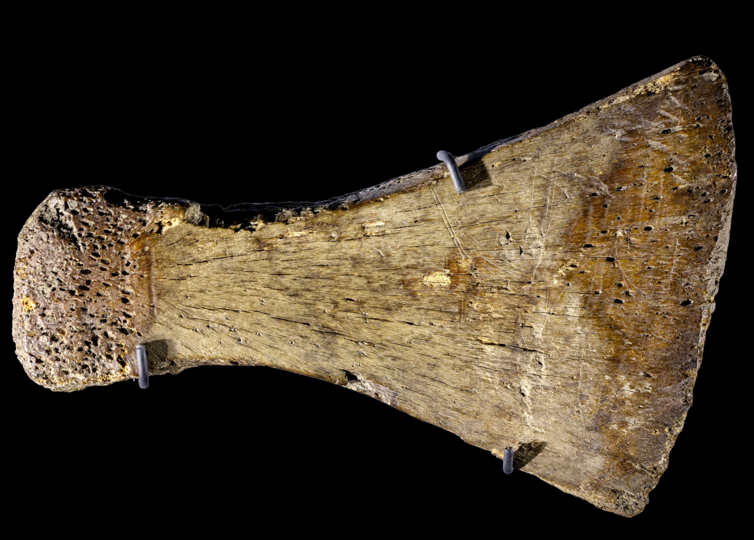 Axe made of whale bone.