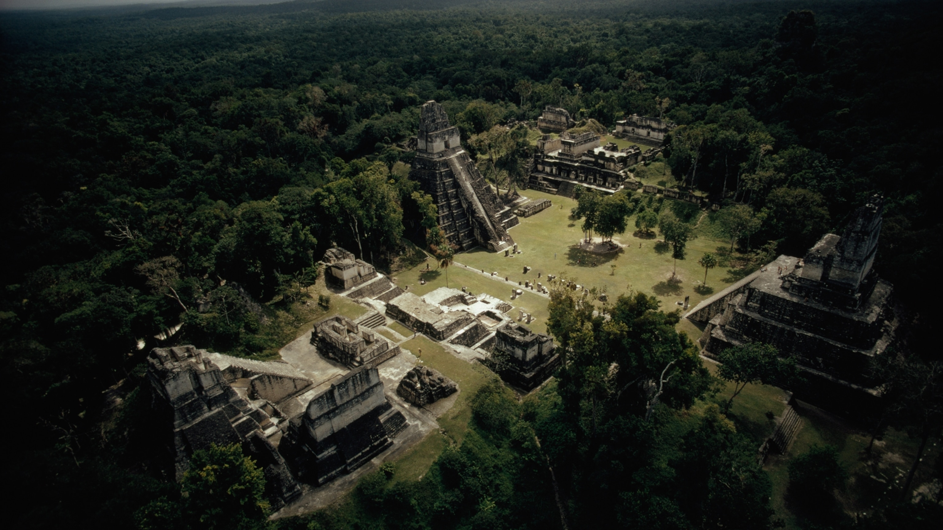The Maya civilization was a mystery. Our family business was solving it.