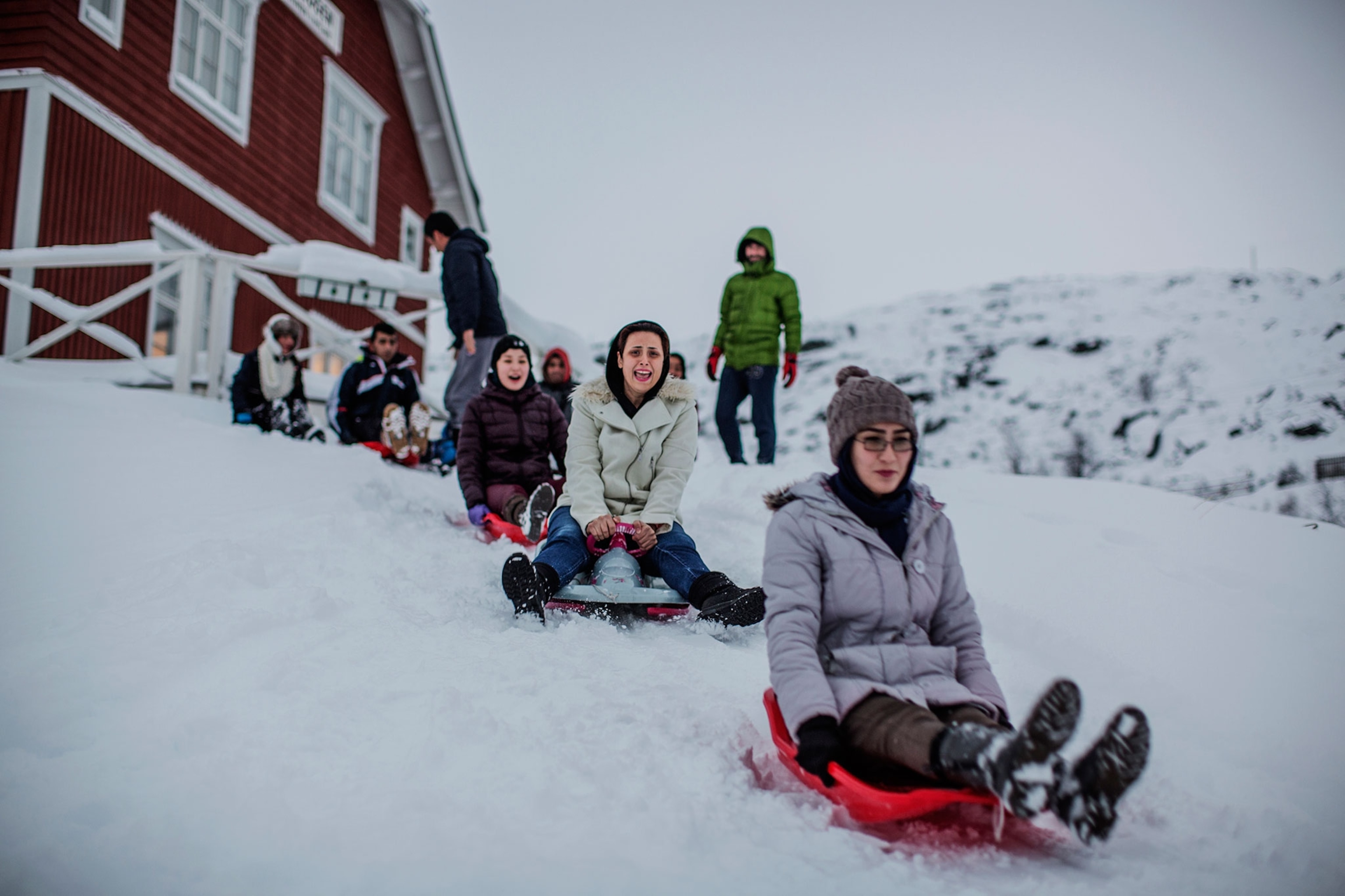 immigrants sledding