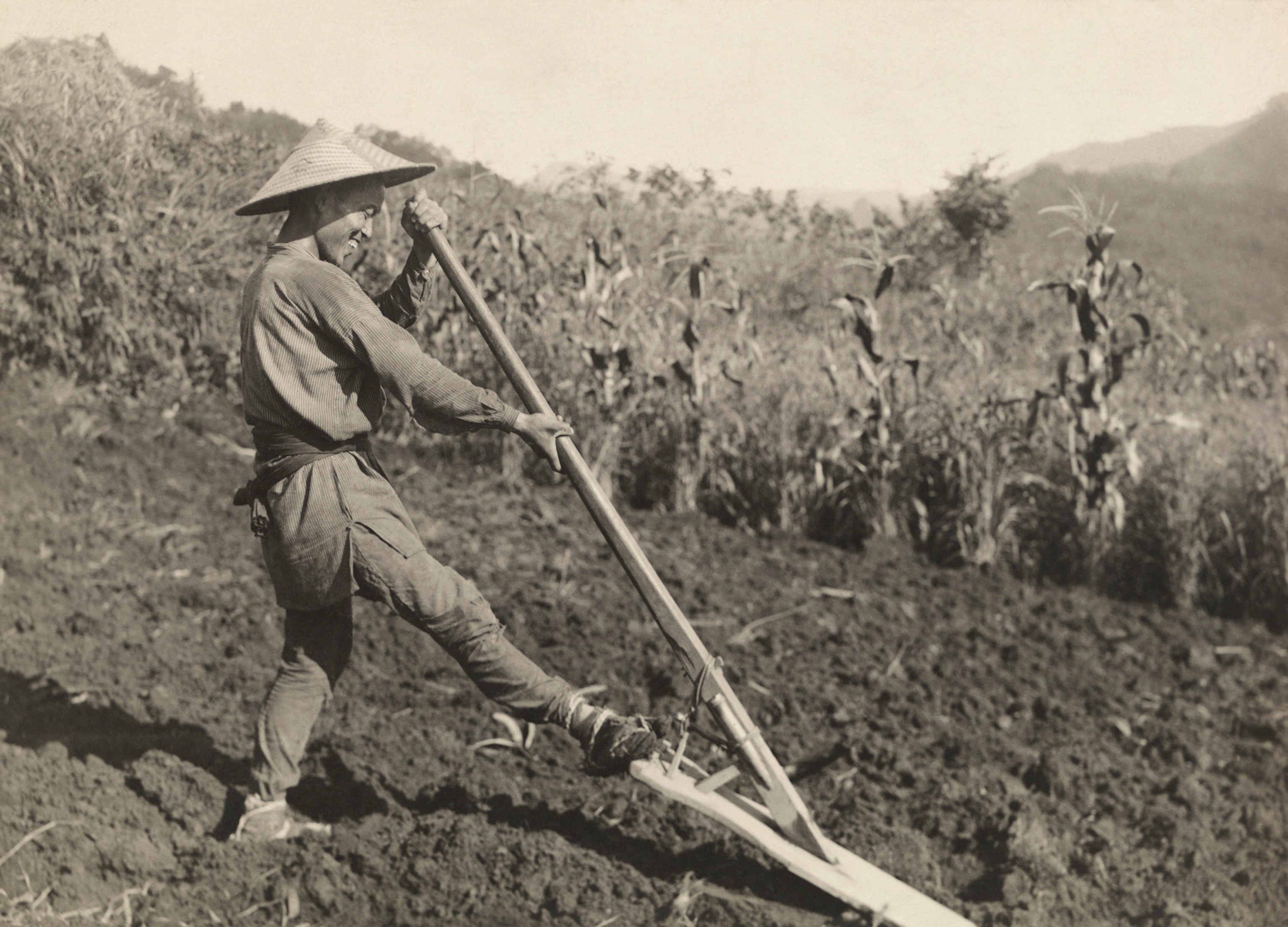 The Japanese farmer’s devices for cultivating the soil are curious in their primitiveness. The picture shows the wooden spade used for turning up the soil. The remainder of the cultivation will probably be done with a heavy single-bladed hoe for digging, a three-prong hoe for breaking the soil, and other queer home-made things, such as sickles and pruning-hooks with straight handles and curved blades at right angles.