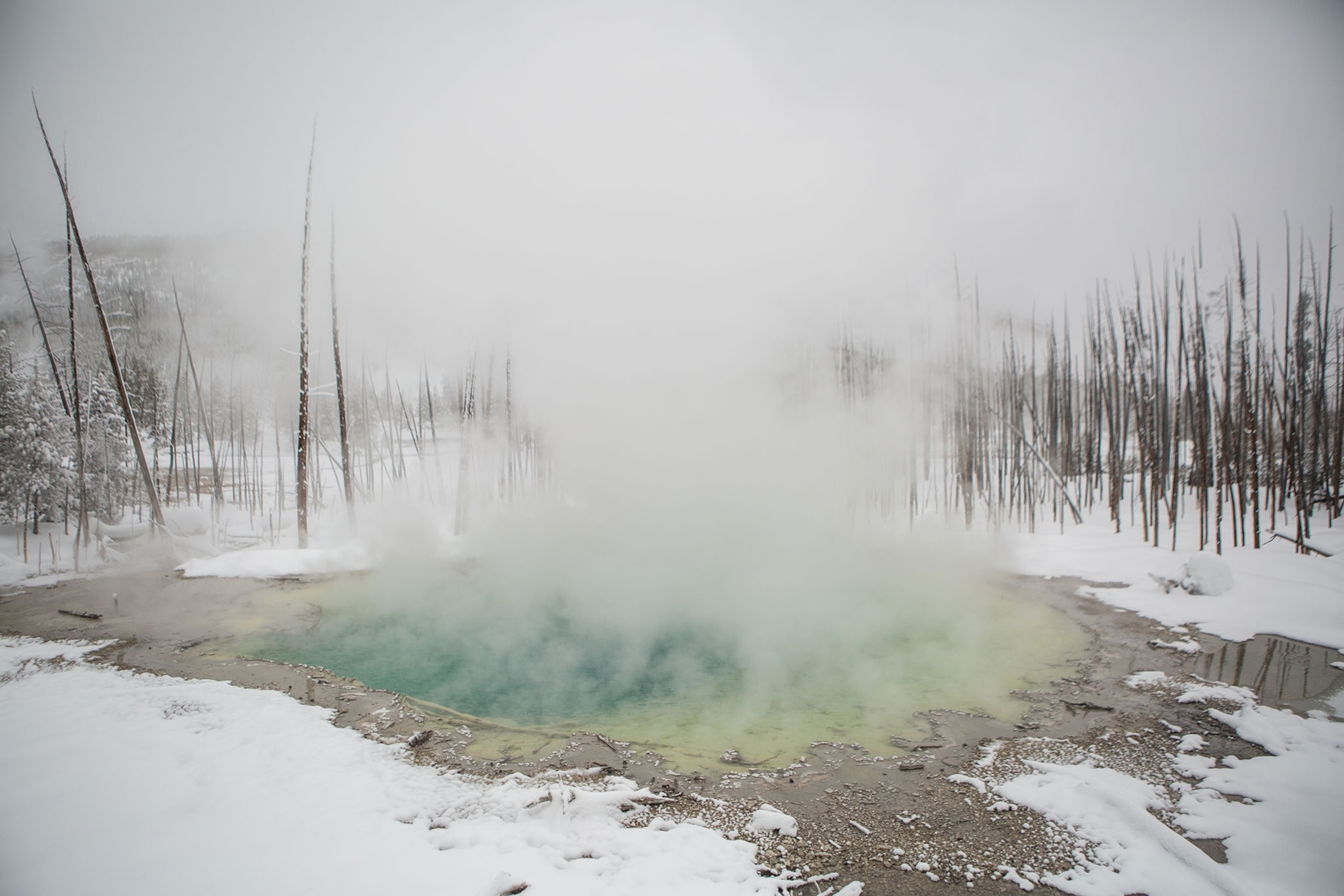 Norris Geyser Basin