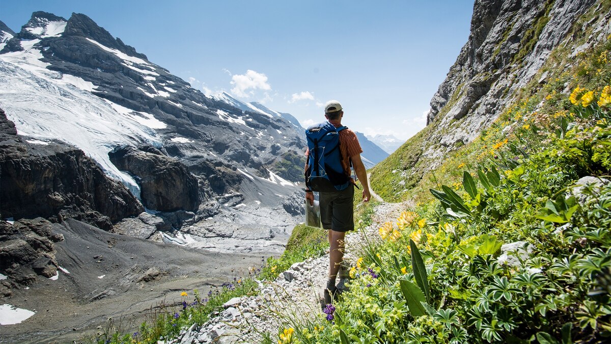 6 hiking and biking trails to explore in the Alps this summer - Vimarsana News
