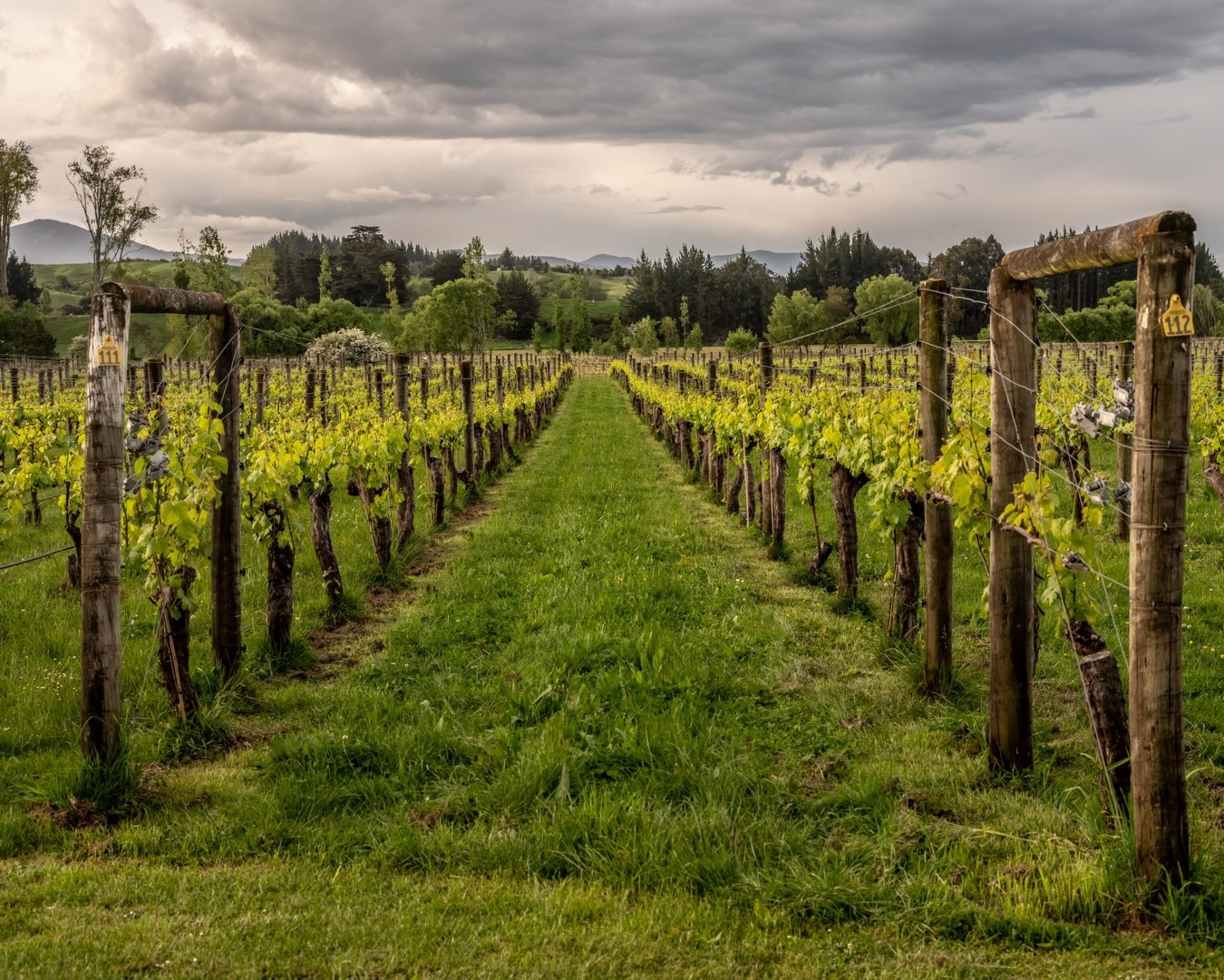 New Zealand, Nelson and Abel Tasman