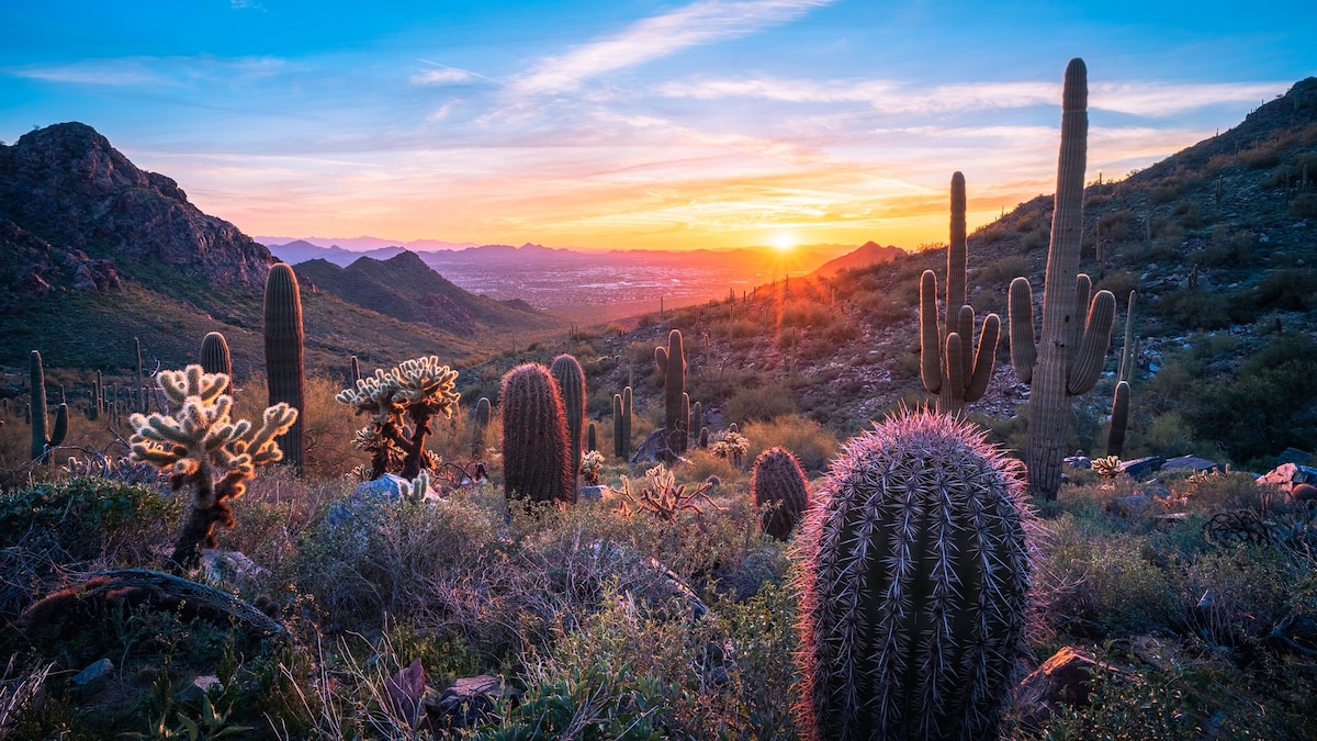 A family travel guide to Scottsdale, Arizona