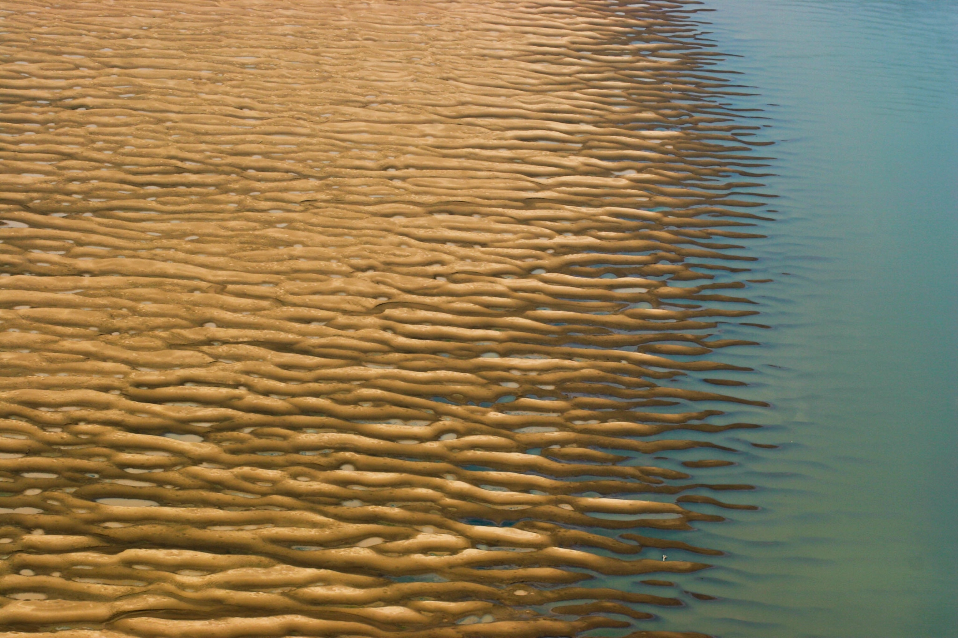amazon-aerial-water-beltra