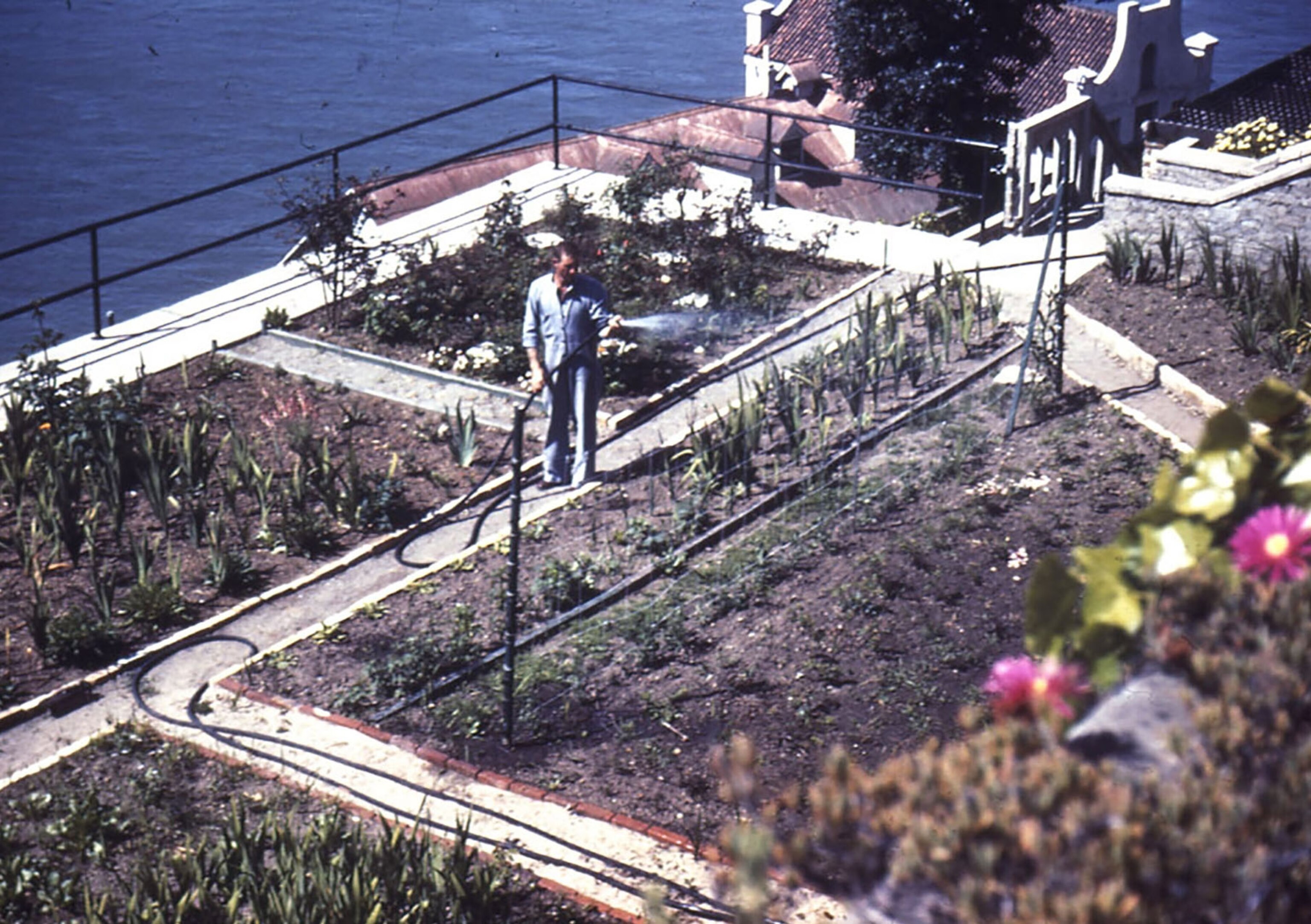 Alcatraz Gardens in the 1950s
