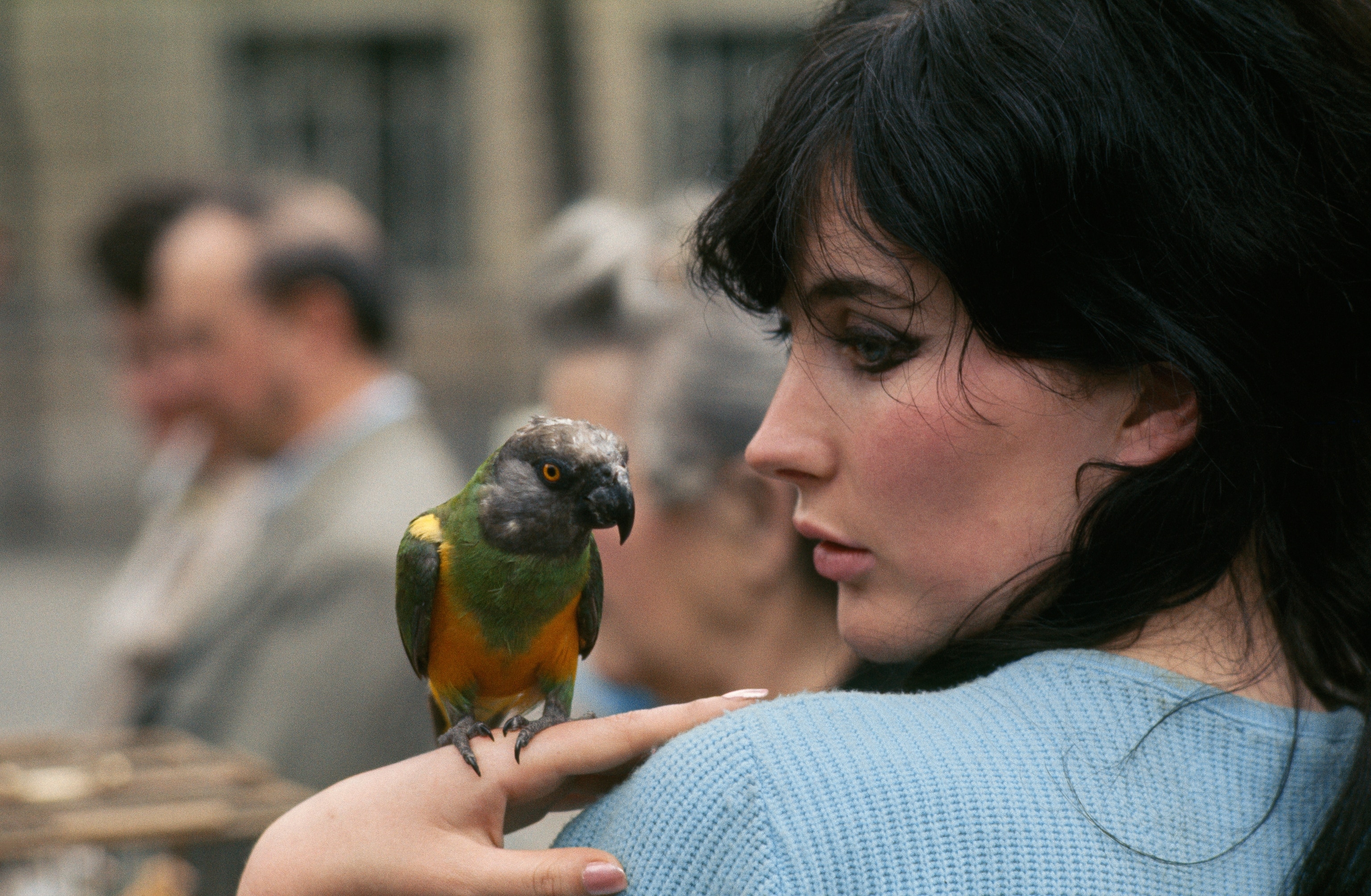 A shopper holds a Senegal parrot at the local bird market, in Île de la Cité, Paris, France. On Sundays in the 1960s, the city's flower market turned into a bird market. While this particular bird, the pet of a sailor, was not for sale, dozens of canaries, lovebirds, parakeets, and finches awaited buyers.